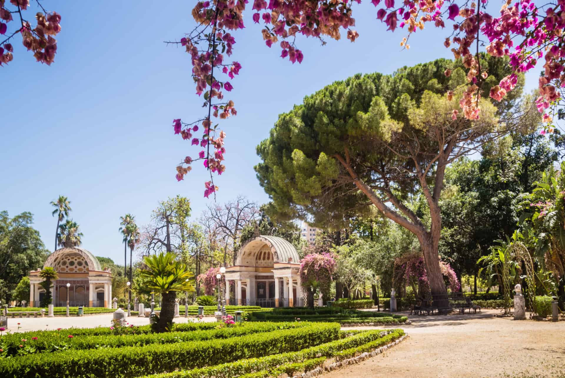jardin botanique palerme jardin botanique palerme