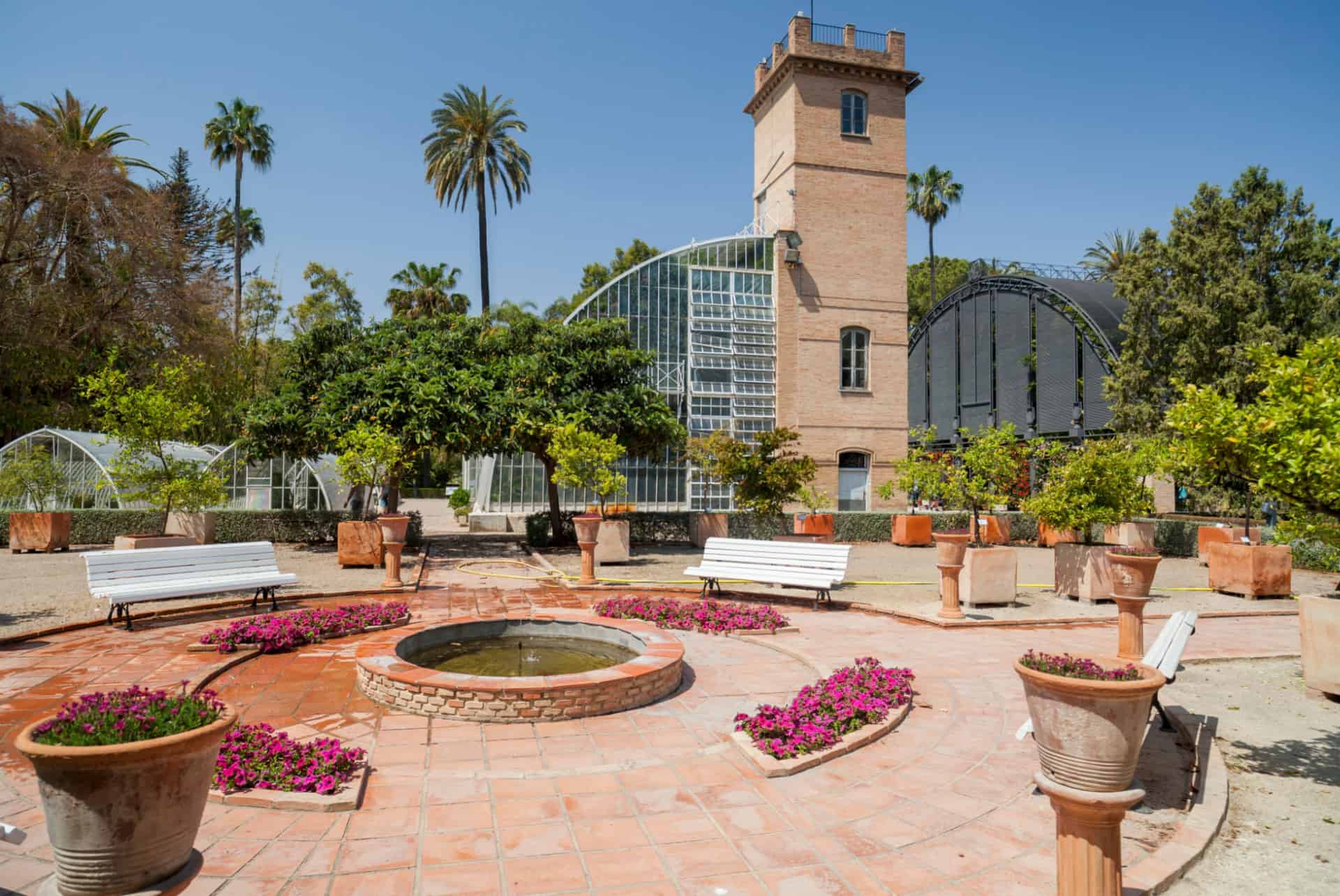 jardin botanique