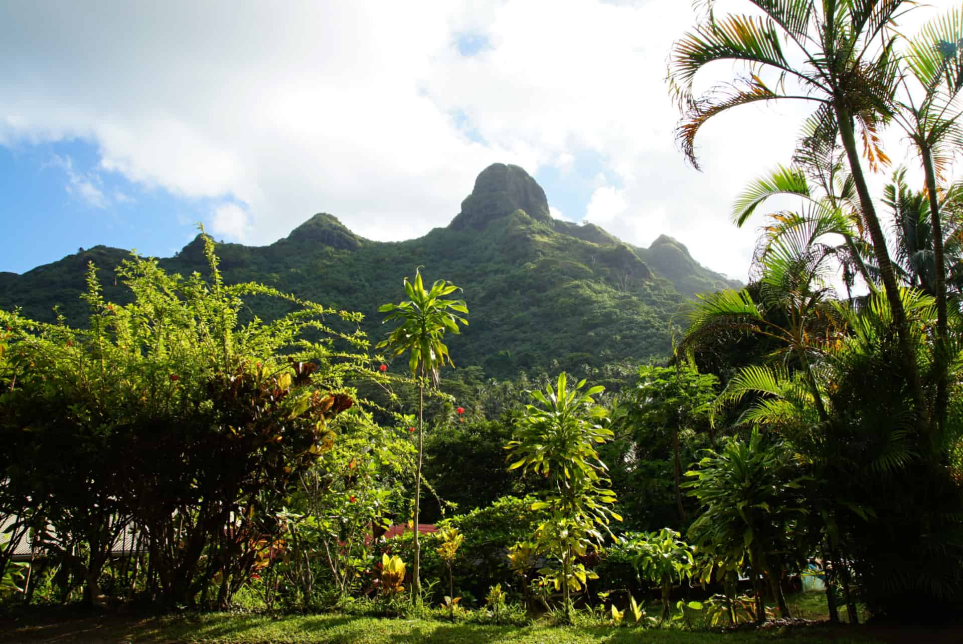 que faire polynesie huahine