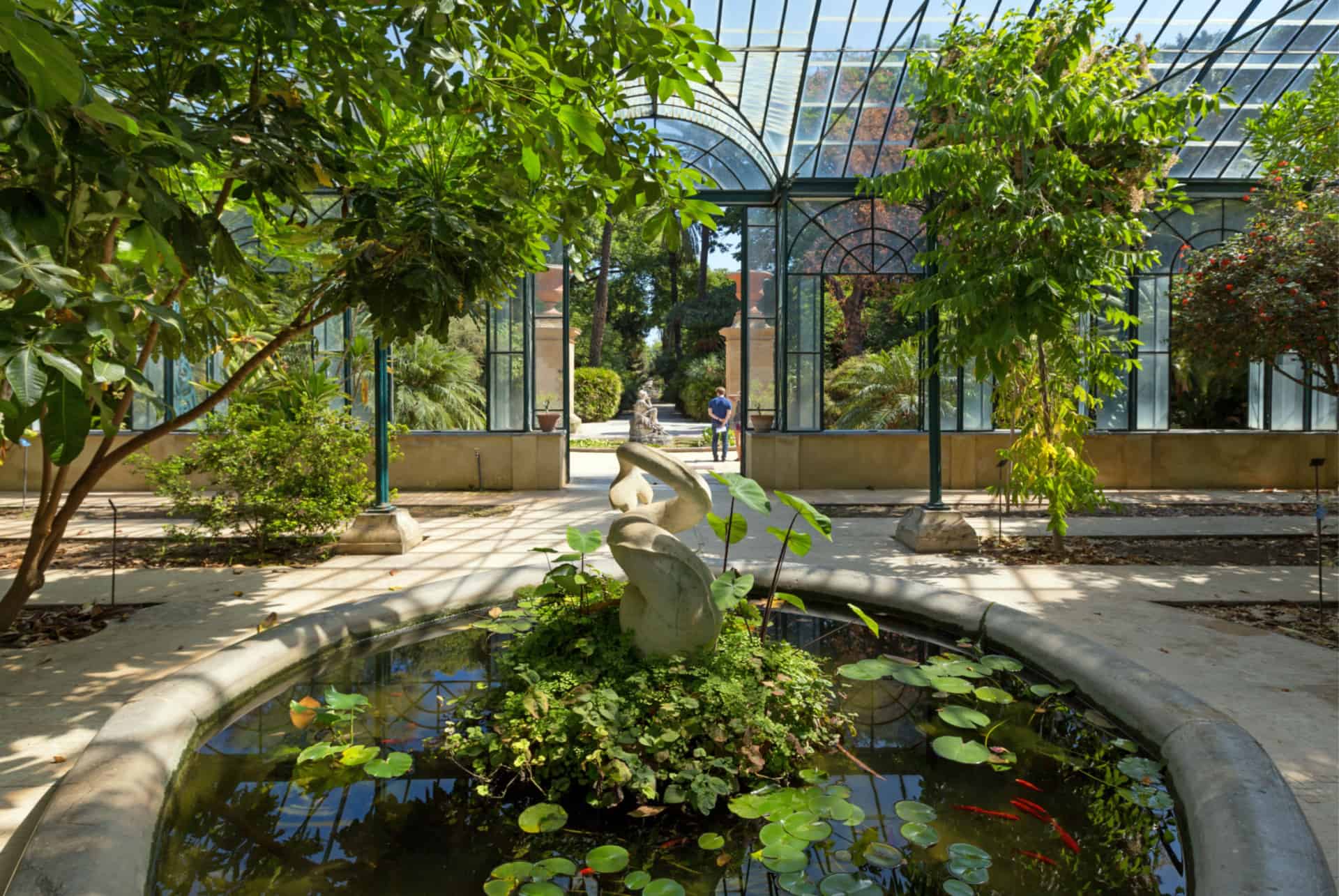 visiter palerme jardin botanique visiter palerme jardin botanique