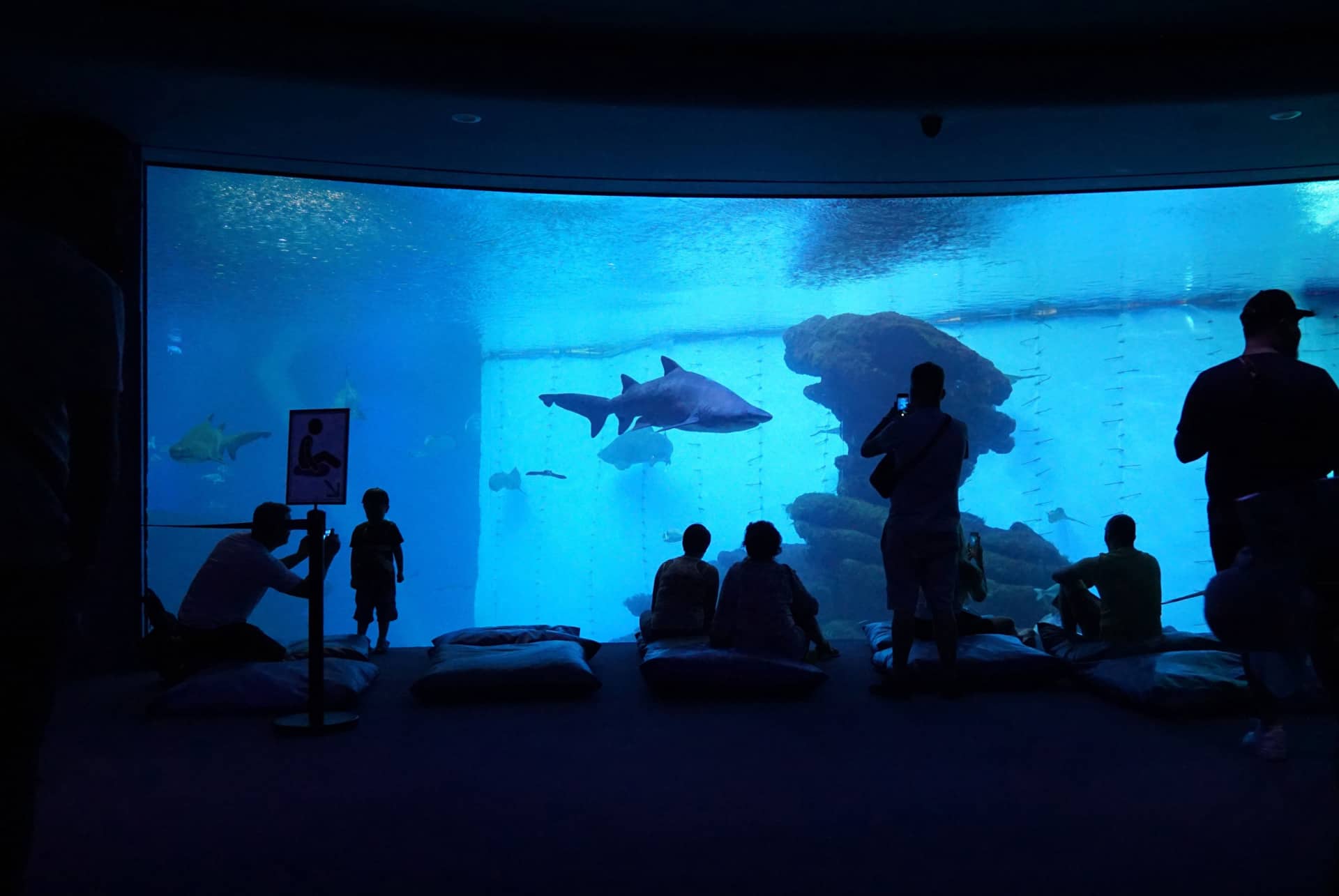 aquarium palma de majorque