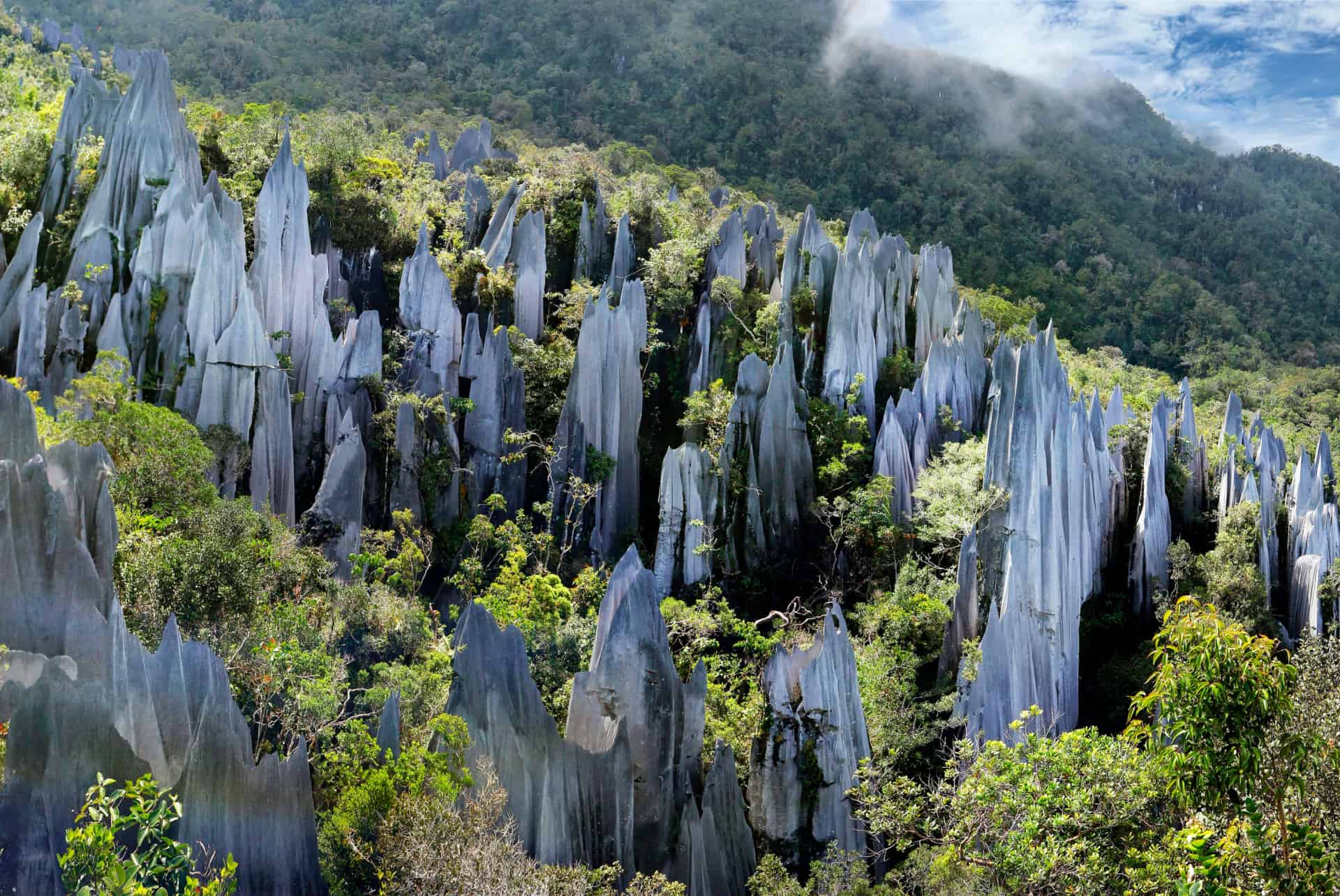gunung mulu que faire malaisie gunung mulu que faire malaisie