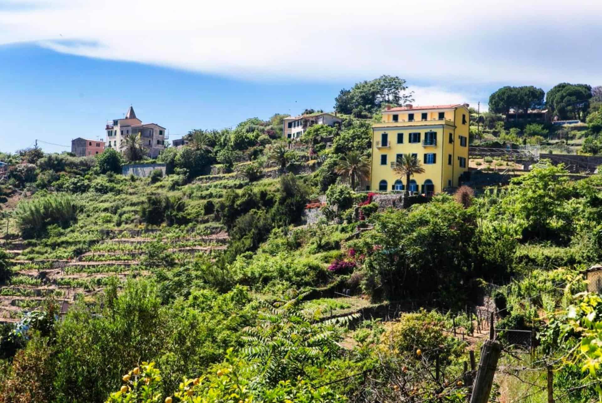 hanging garden cinque terre