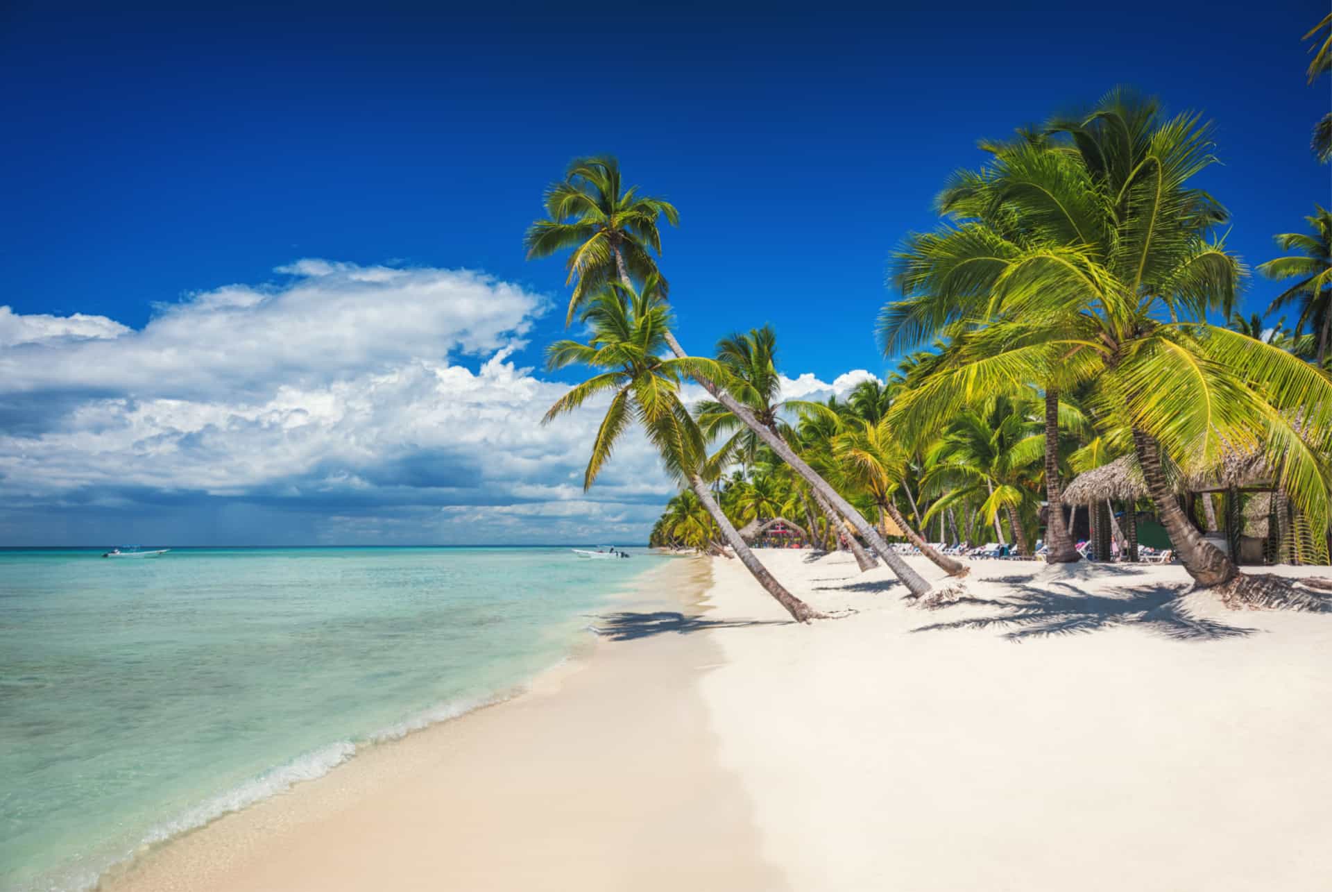 ile de saona ile de saona