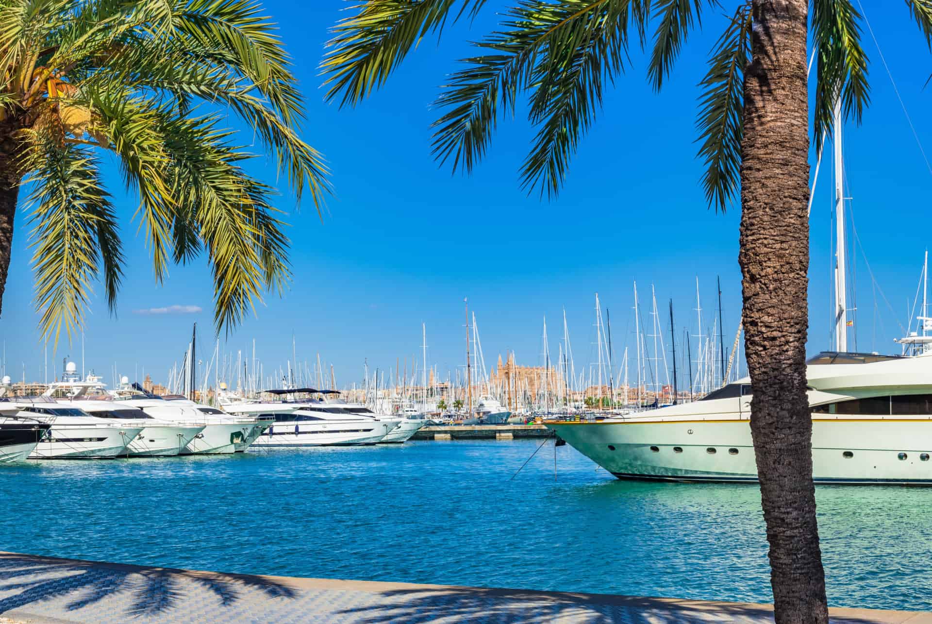 port de plaisance majorque