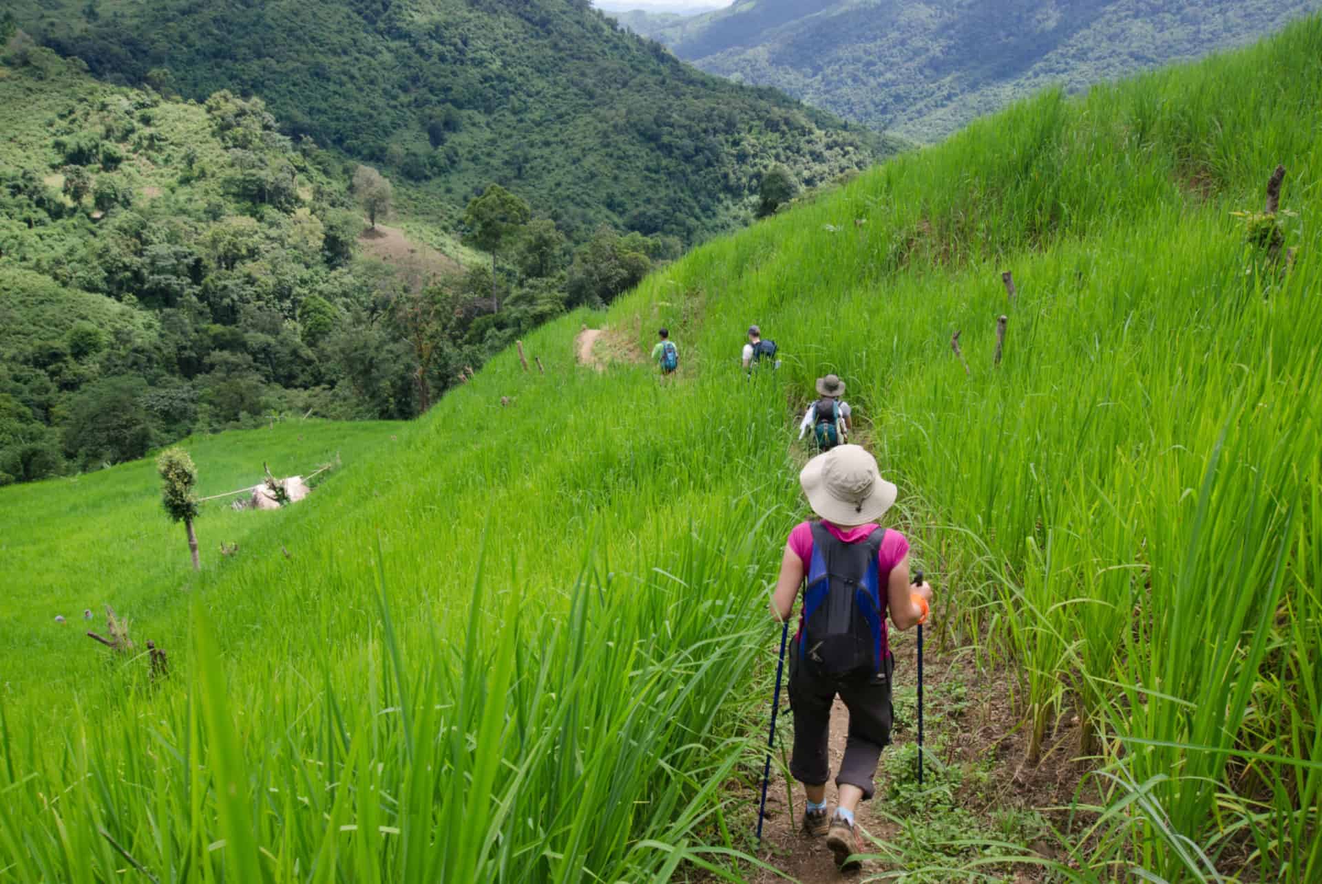 trek phongsaly