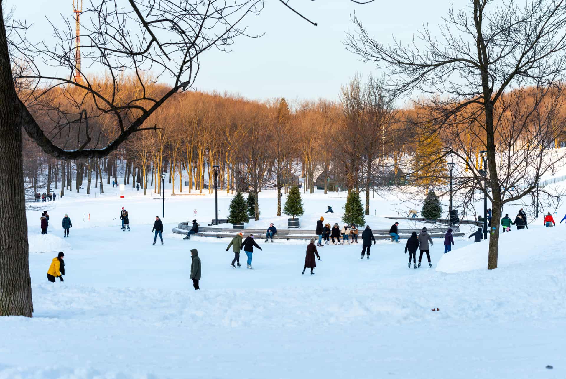 hiver parc mont royal