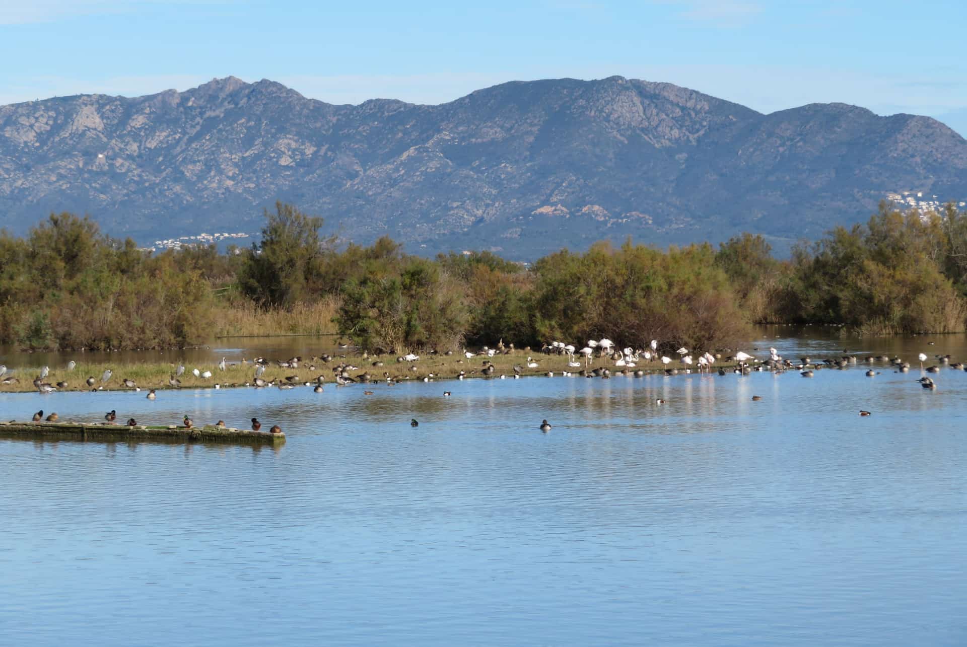 parc naturel els aiguamolls emporda