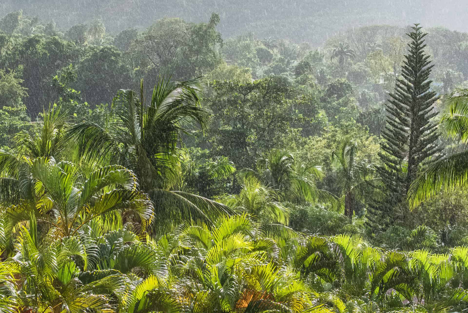 pluie guadeloupe