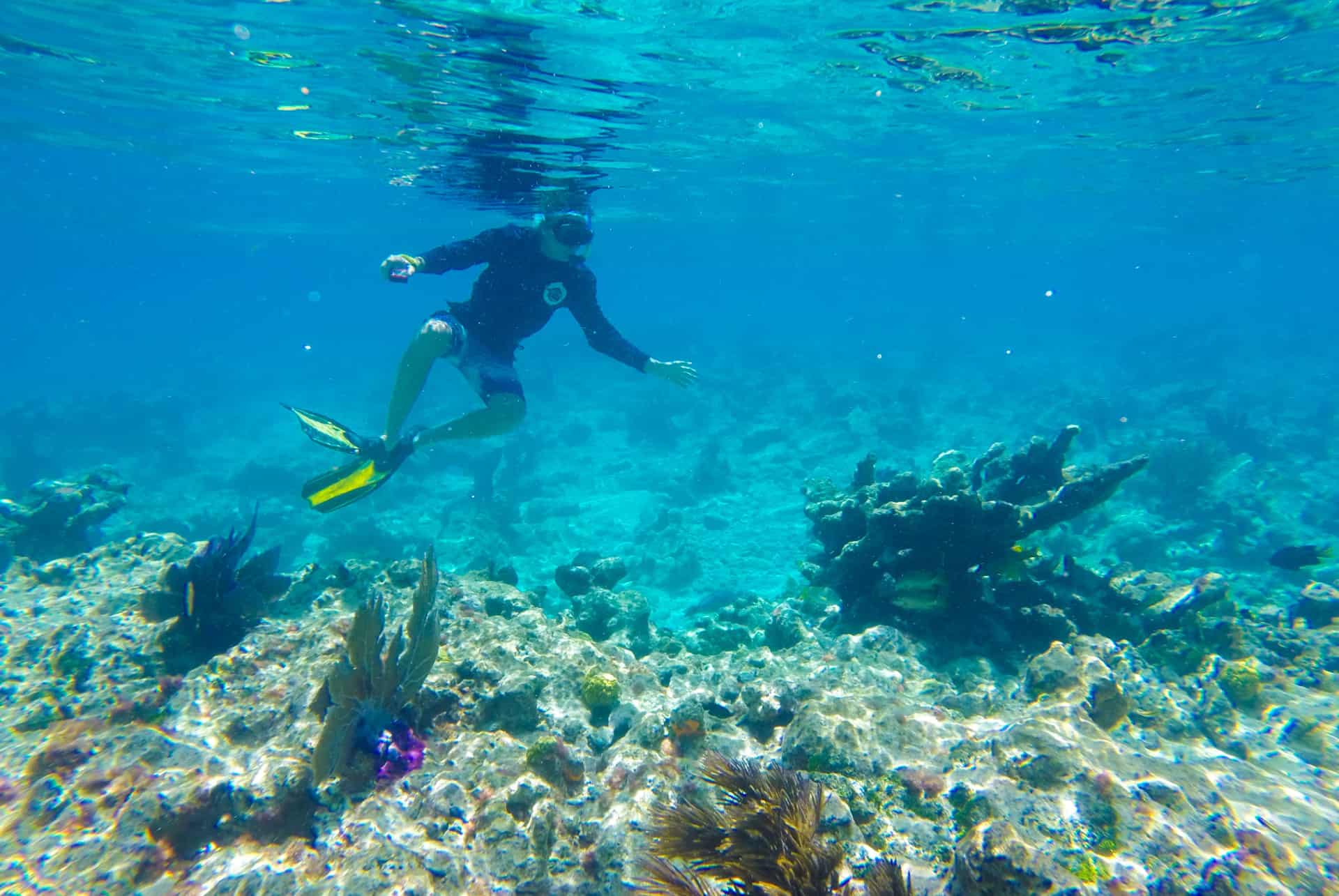 snorkeling a key west