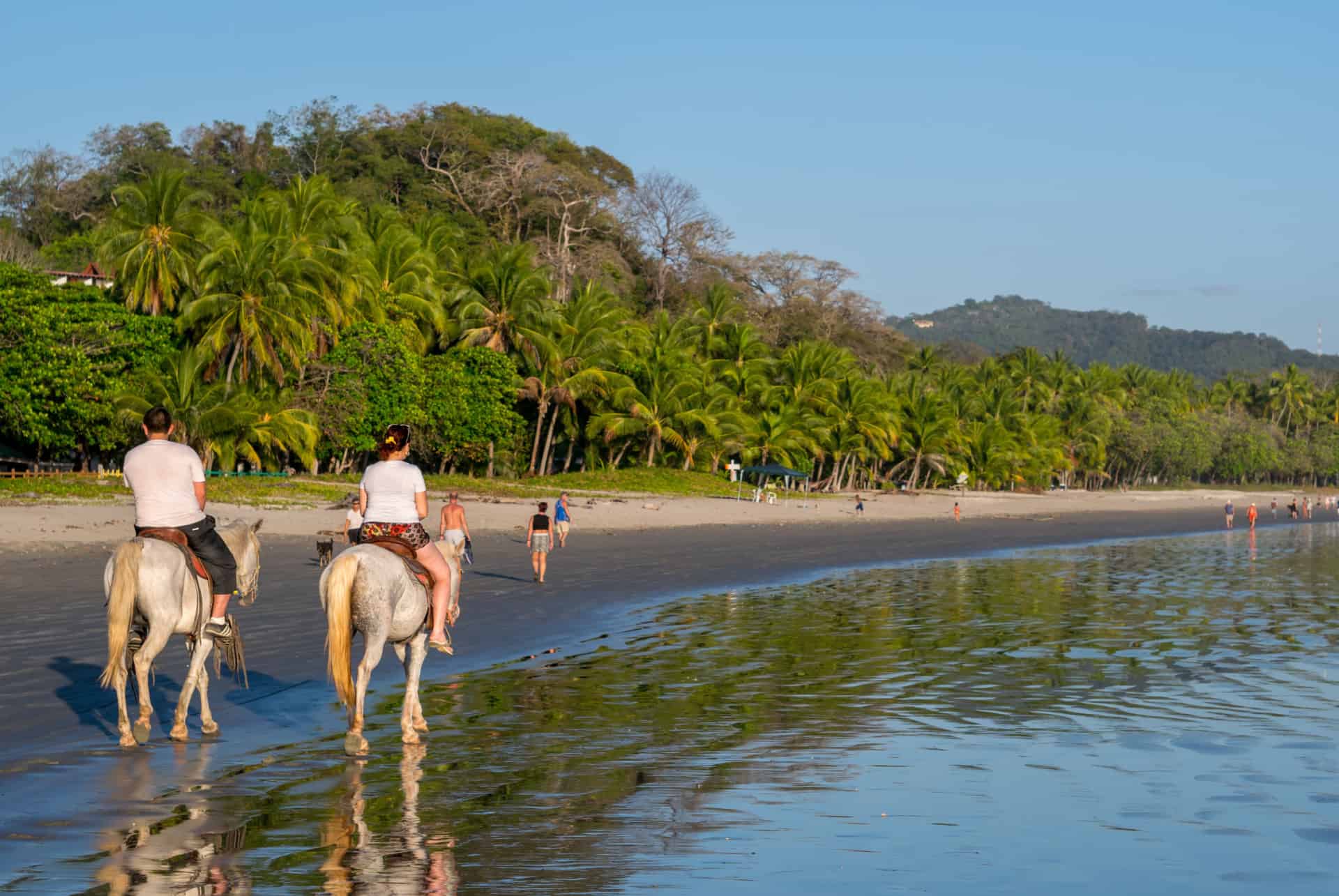 balade cheval que faire costa rica