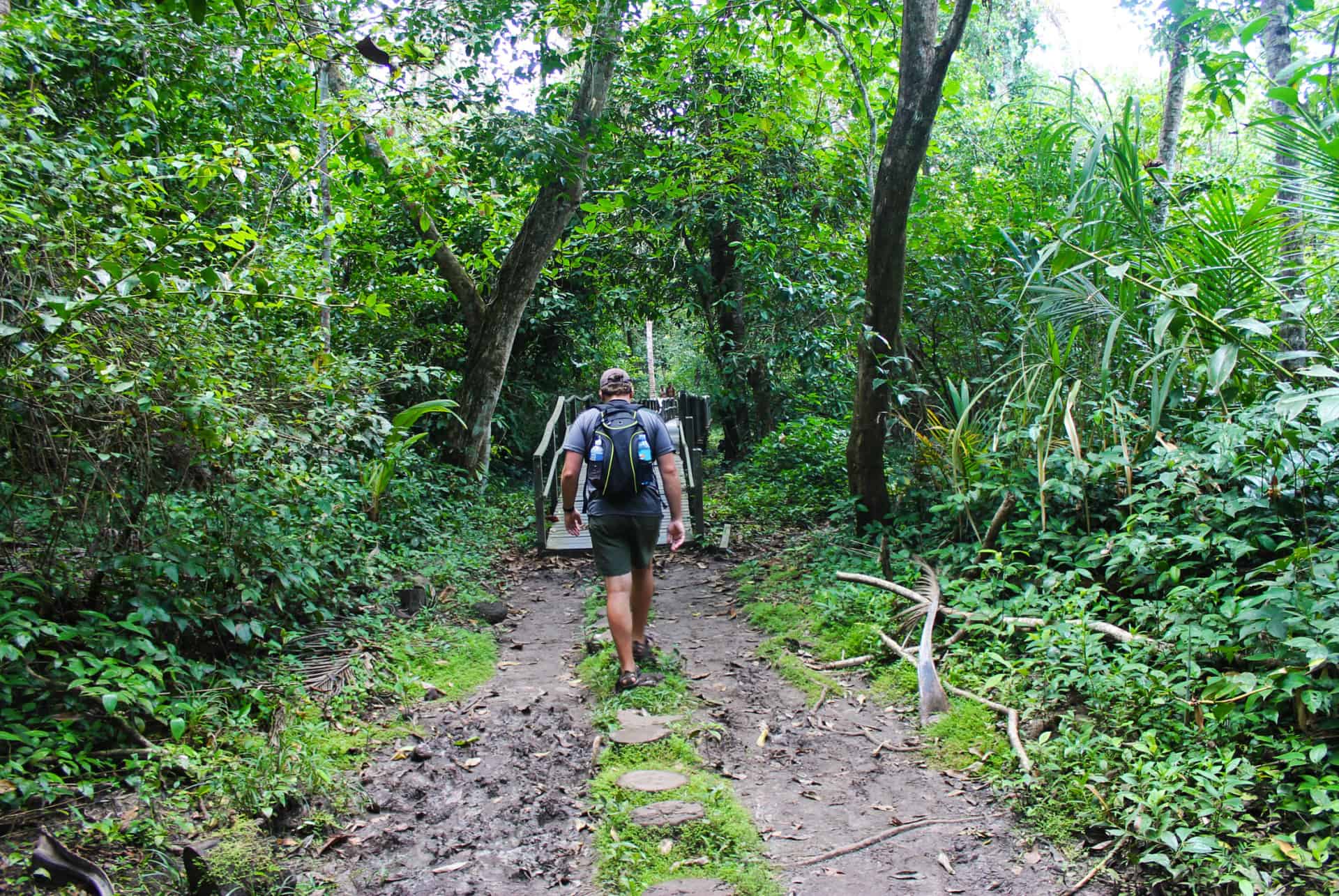 cahuita parc