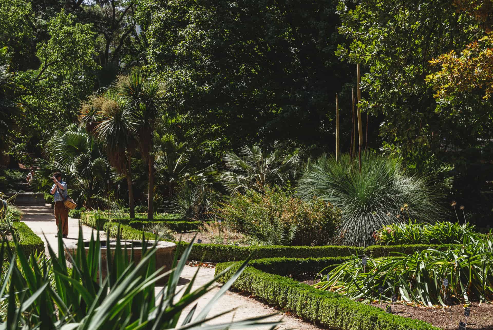 jardin botanique royal madrid 5 jours