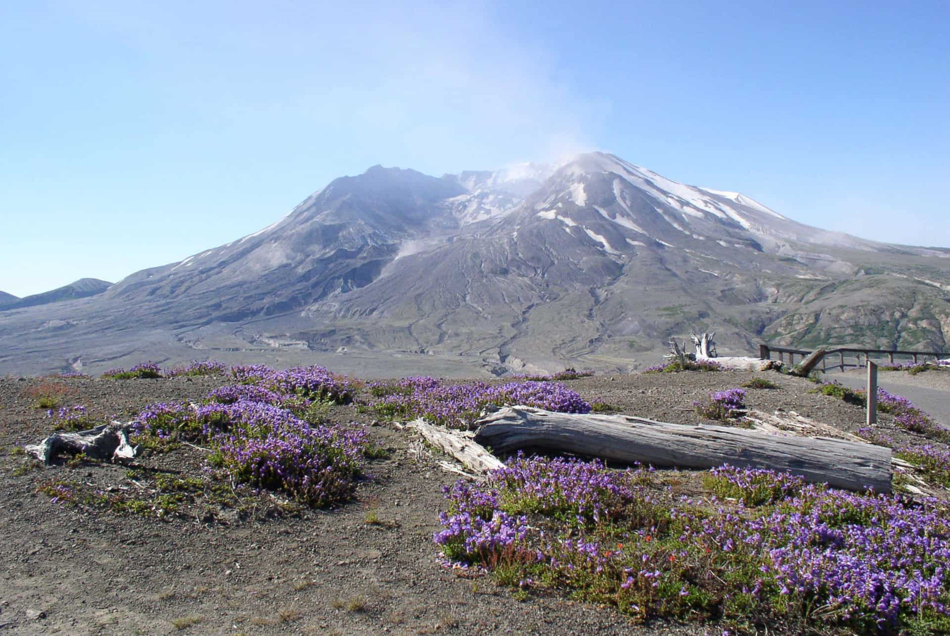 mont saint helens