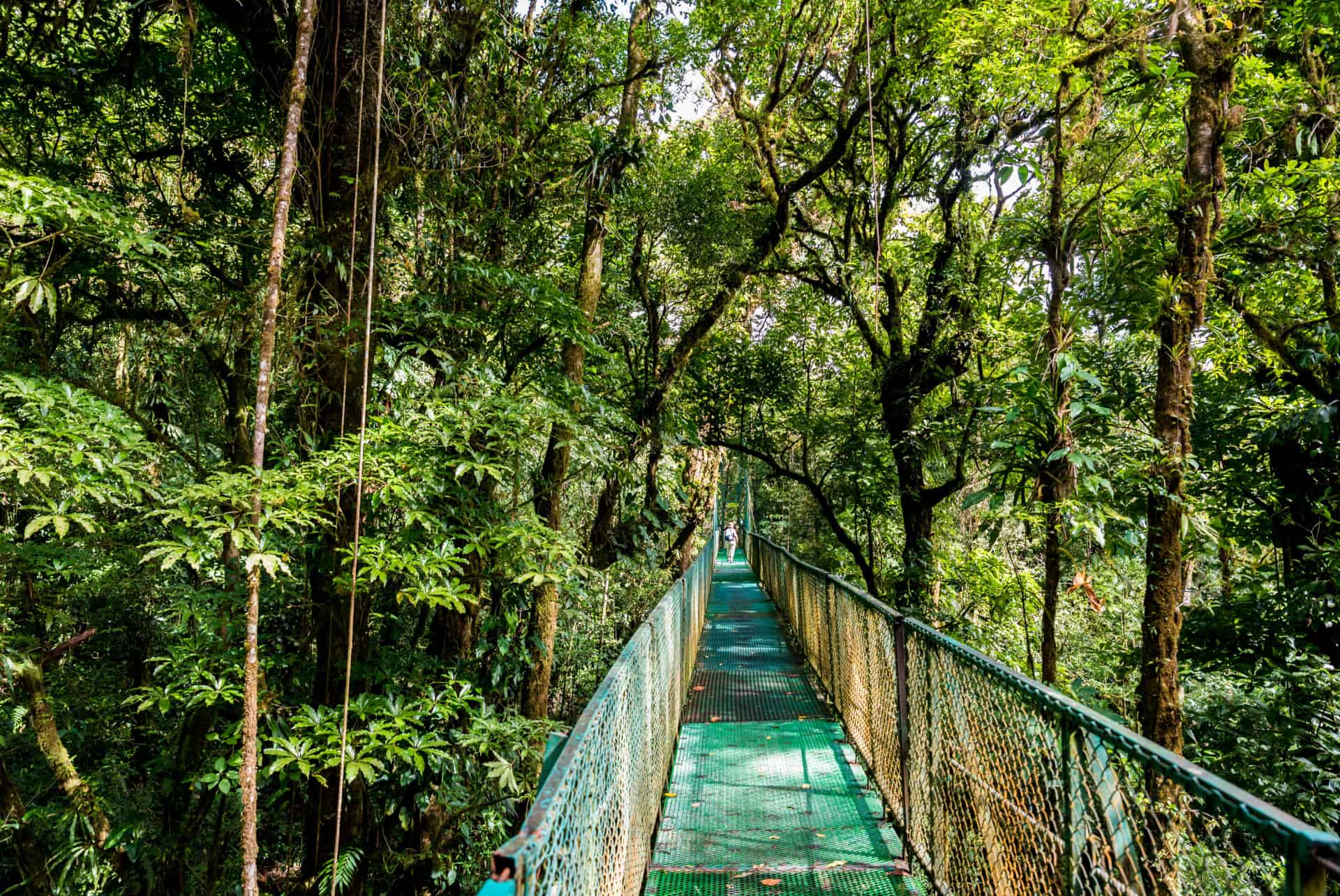 monteverde que faire costa rica