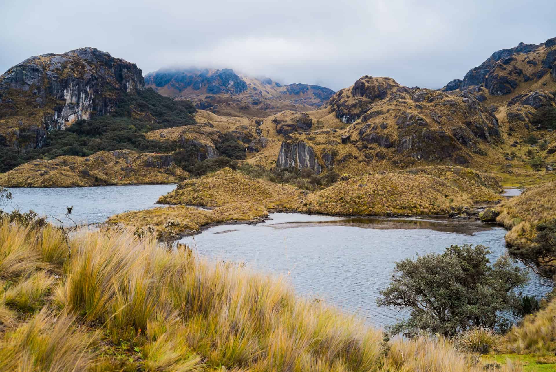 parc national cajas que faire equateur parc national cajas que faire equateur