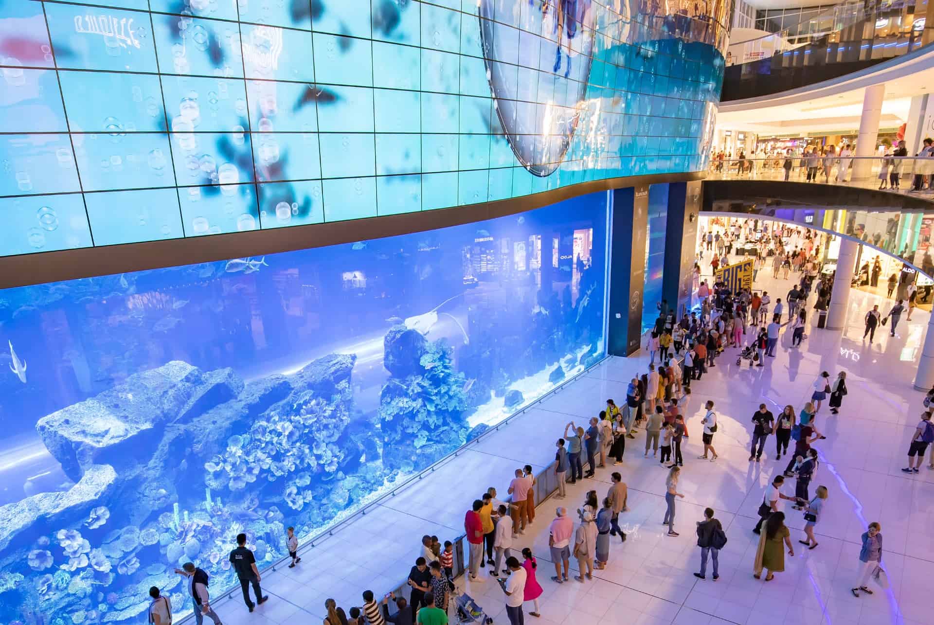 dubai mall