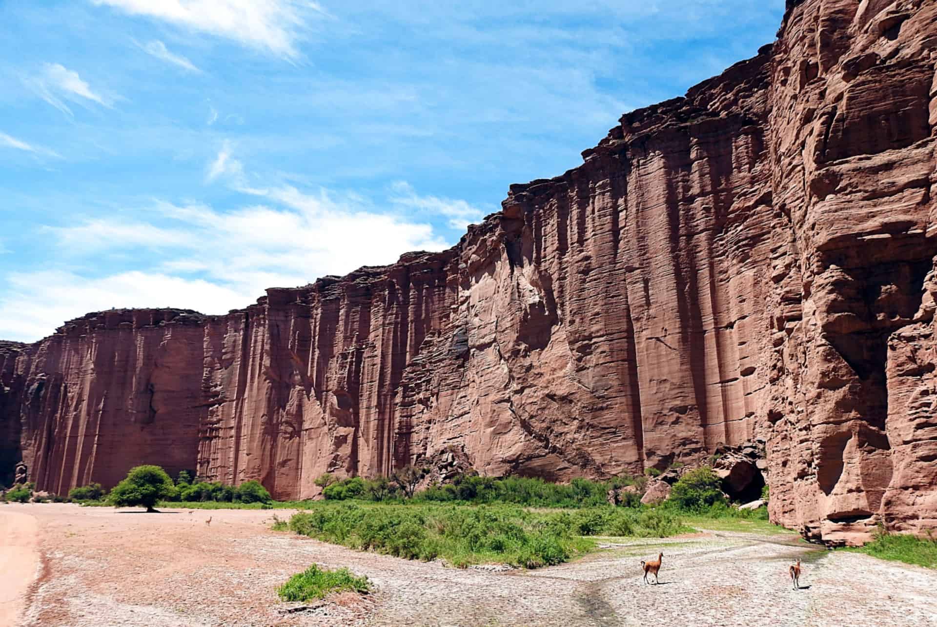 road trip argentine parc national talampaya