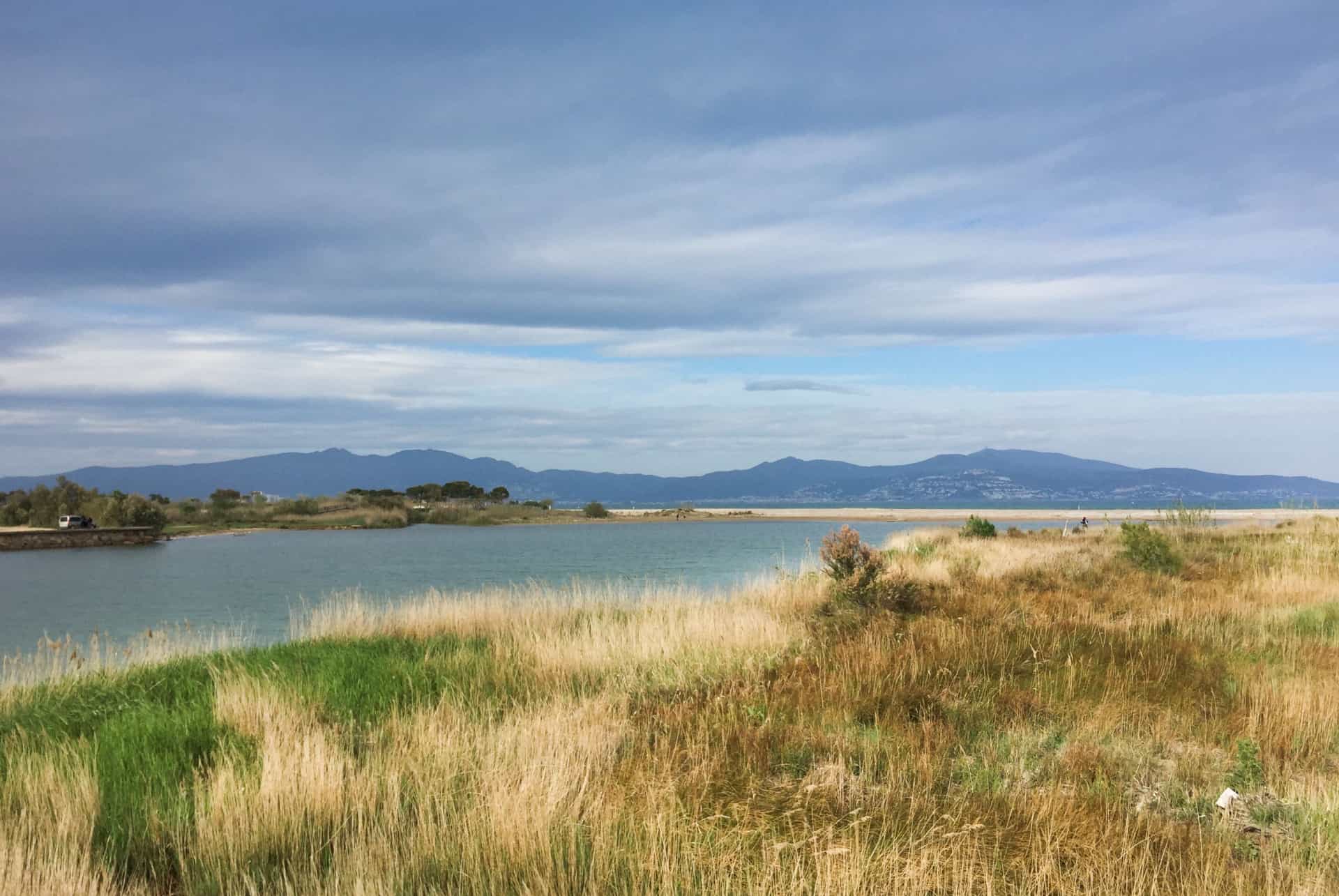 parc naturel des aiguamolls d emporda