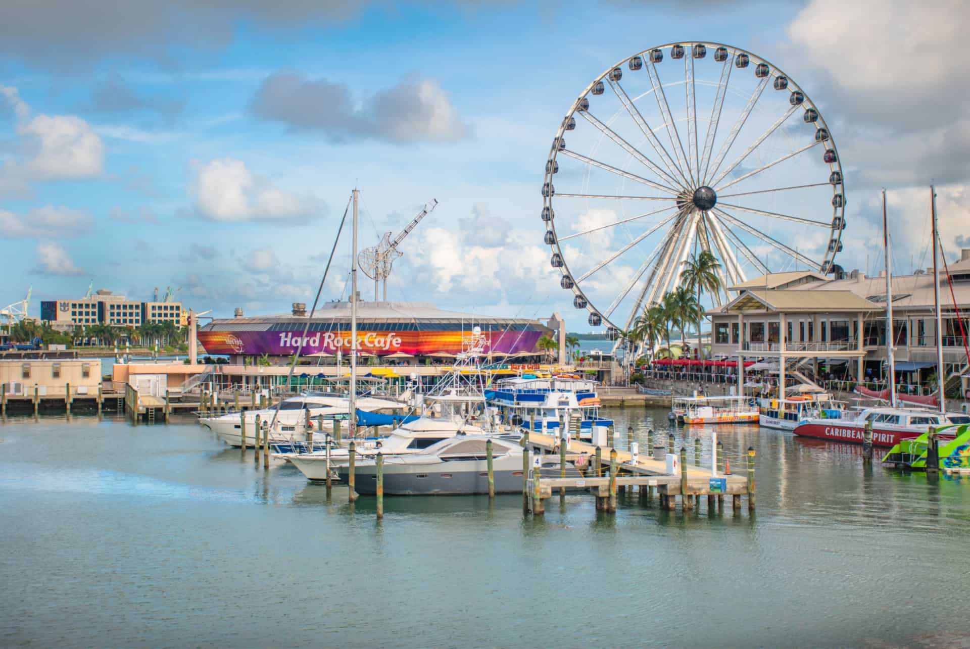 roue miami