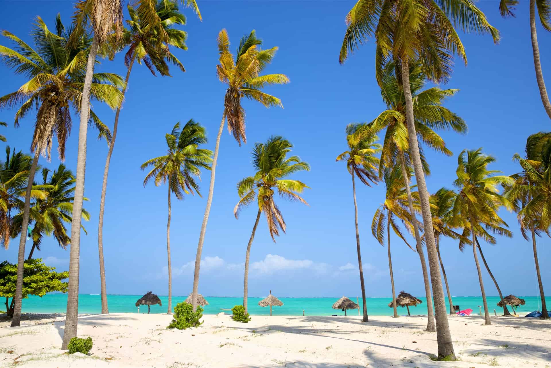 zanzibar tanzanie zanzibar tanzanie