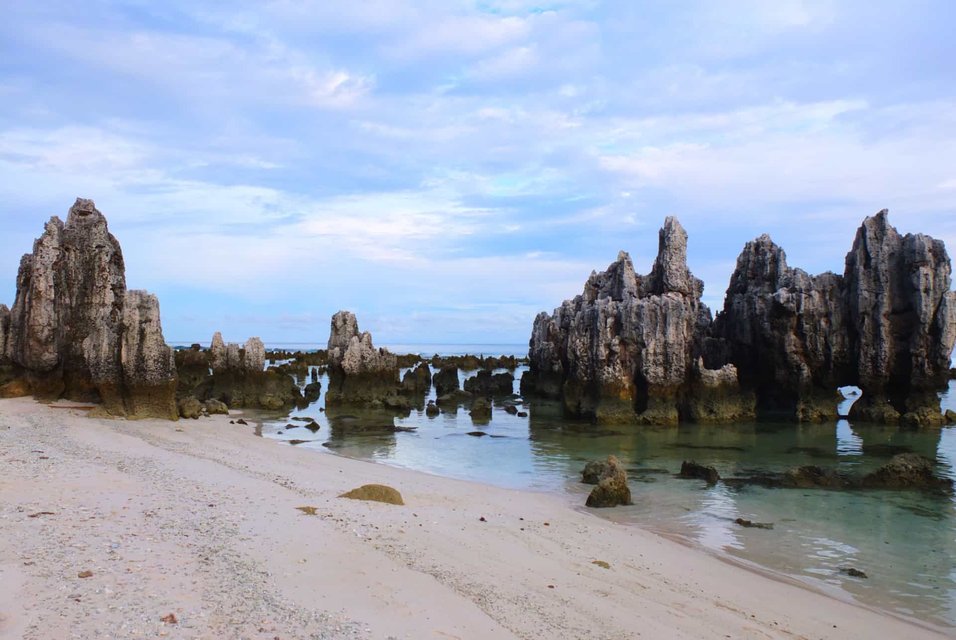 coraux plage nauru coraux plage nauru