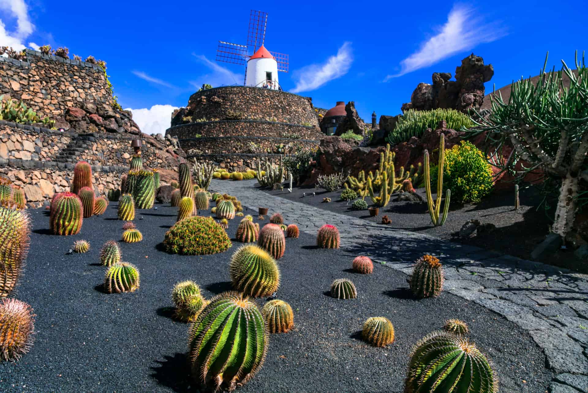 jardins botaniques lanzarote