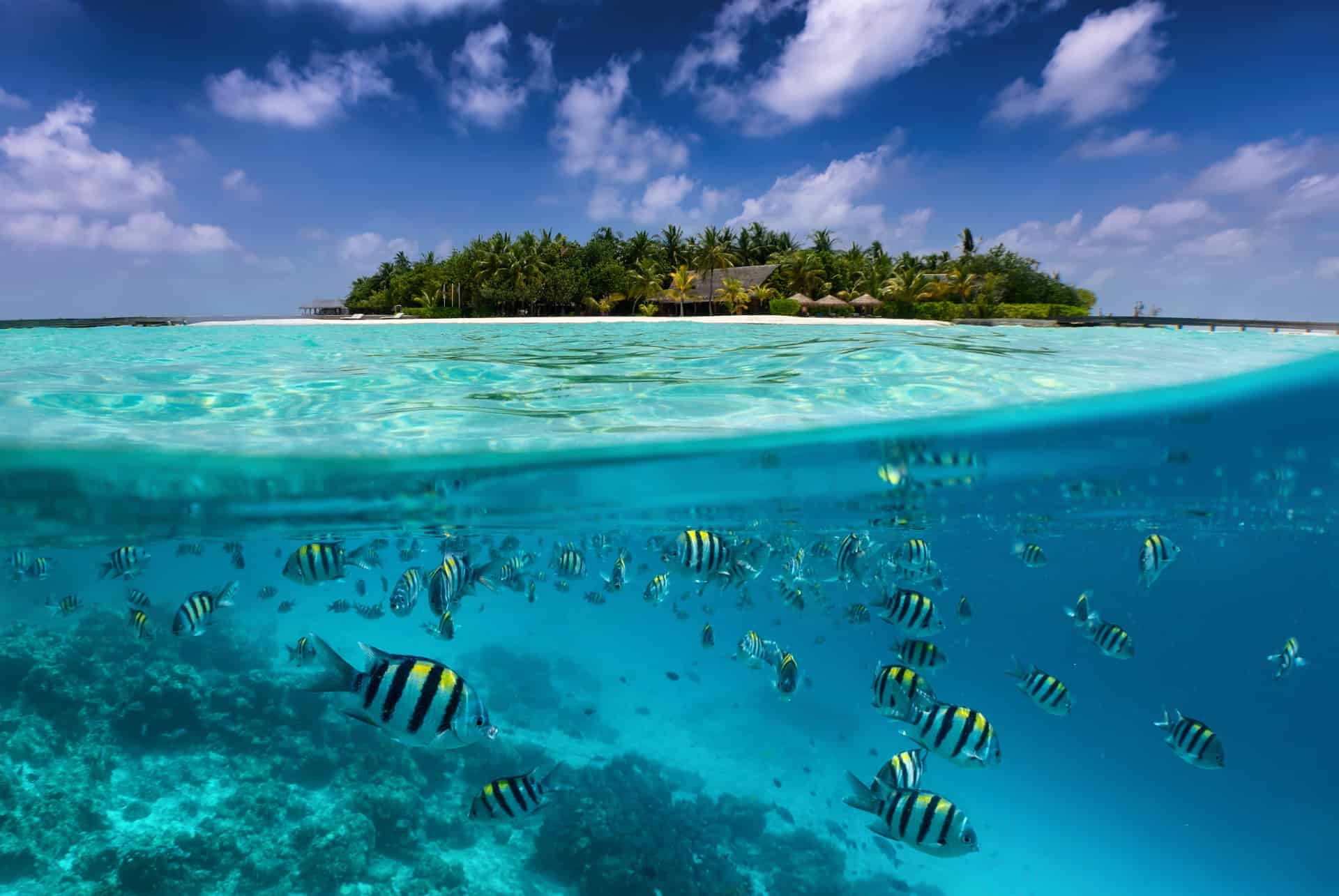 maldives depuis la mer maldives depuis la mer