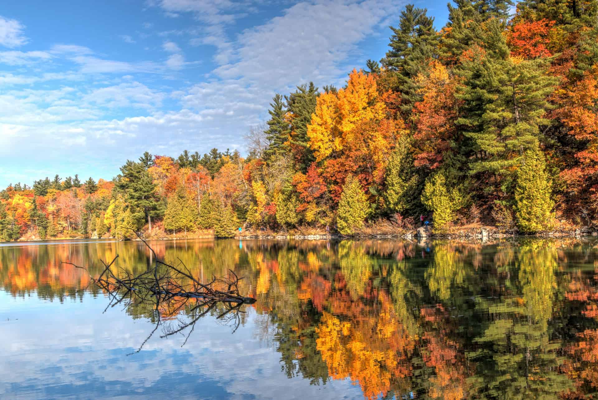 parc de la gatineau canada