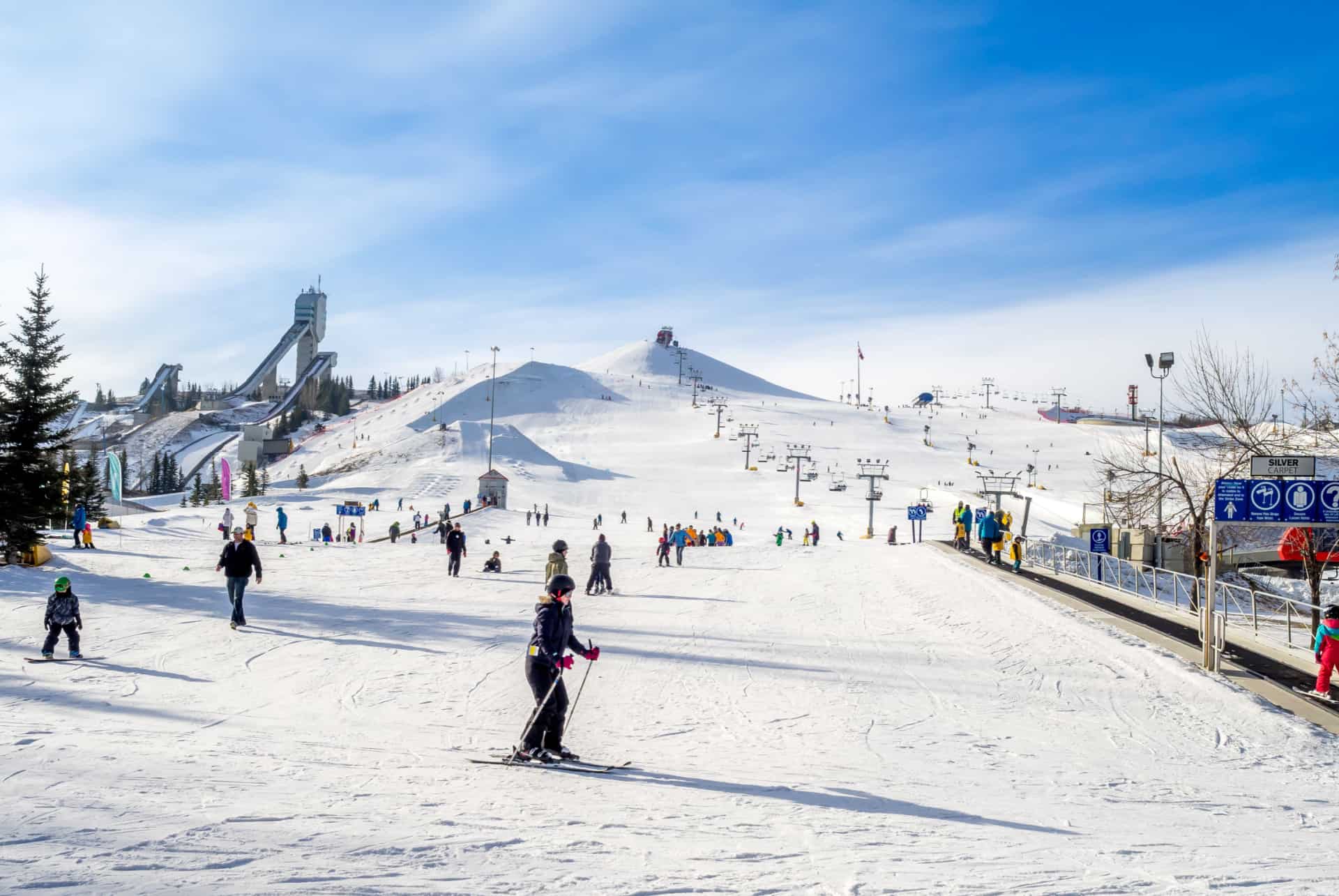 parc olympique canada