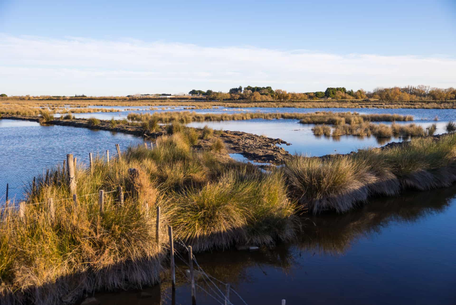paysages petite camargue que faire languedoc roussillon petite camargue