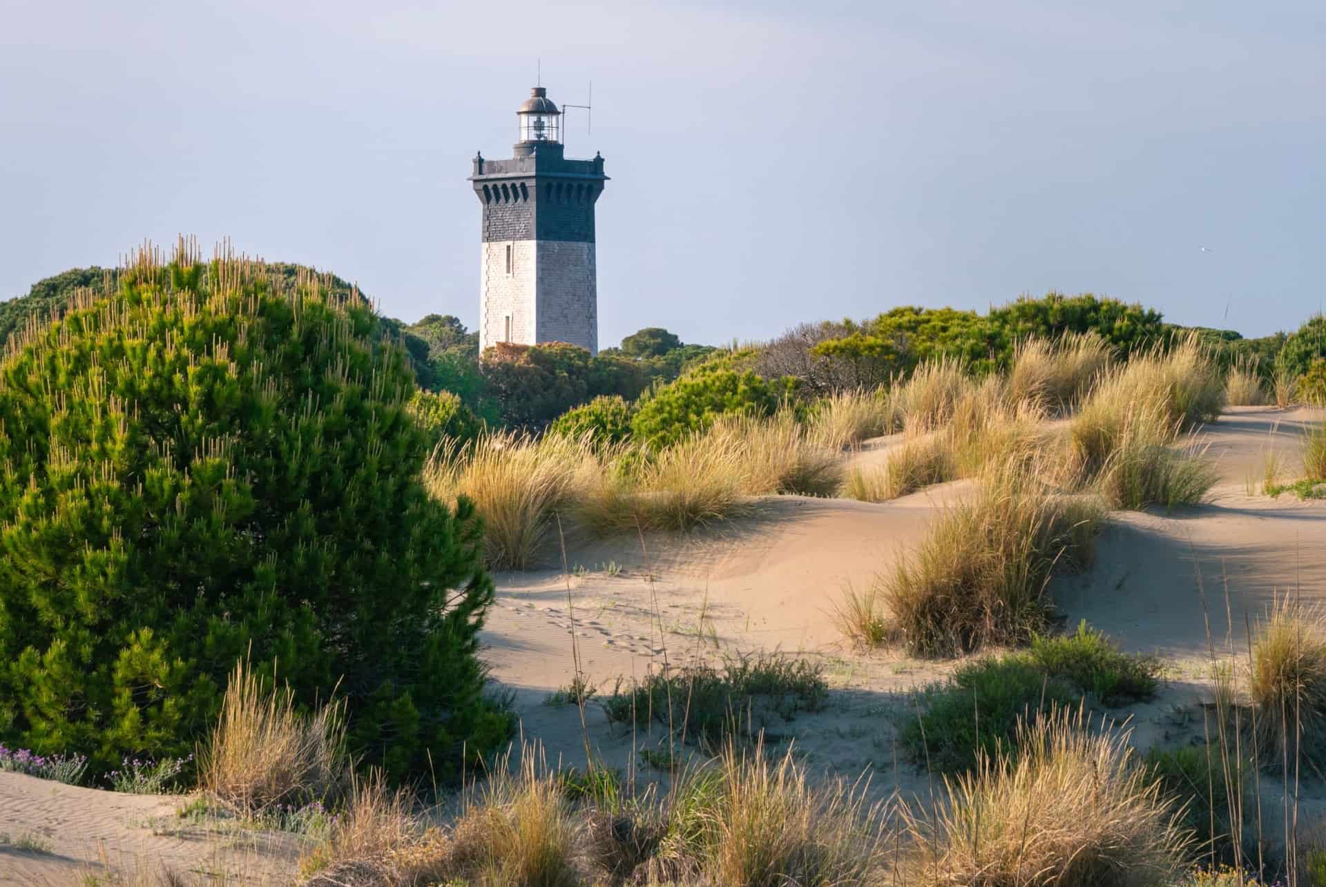 phare de l'espiguette