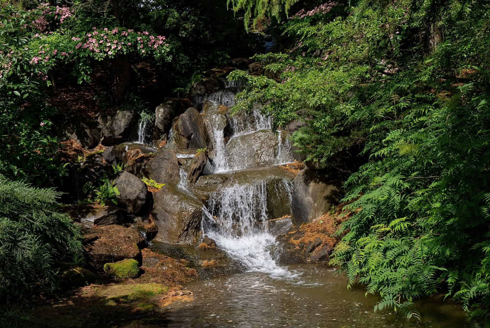 que faire a vancouver jardin vandusen