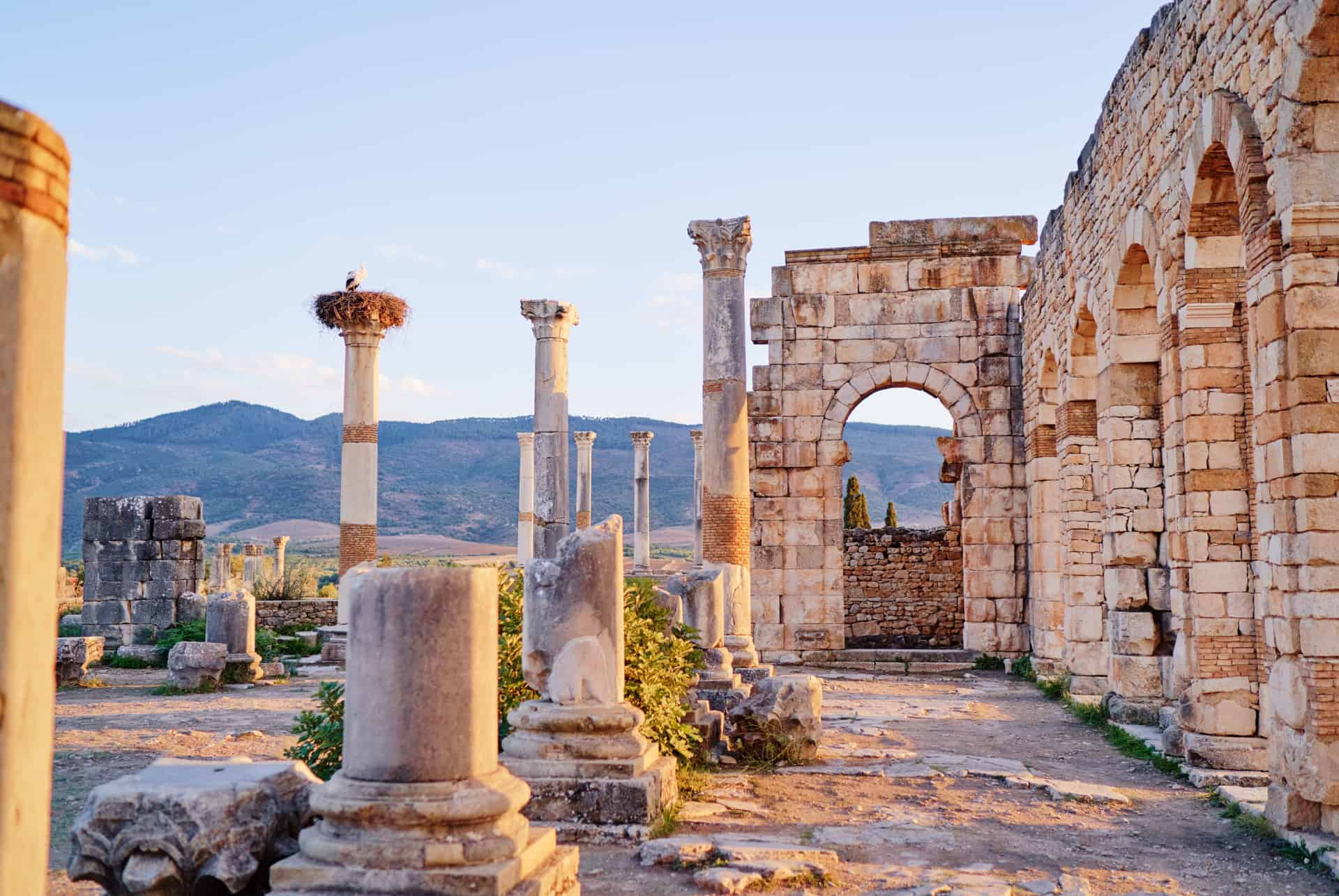 volubilis que faire a fes