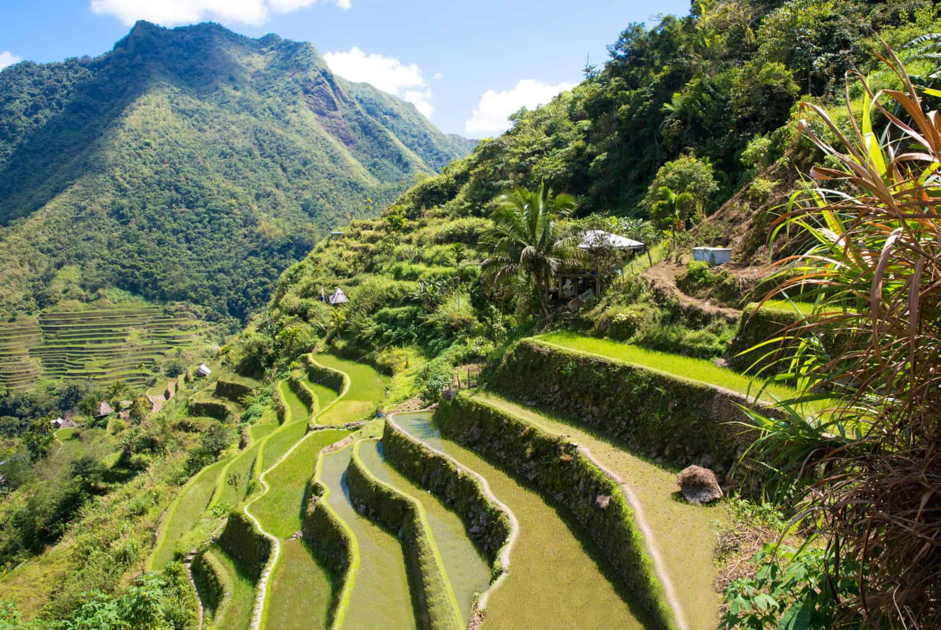 batad riziere batad riziere
