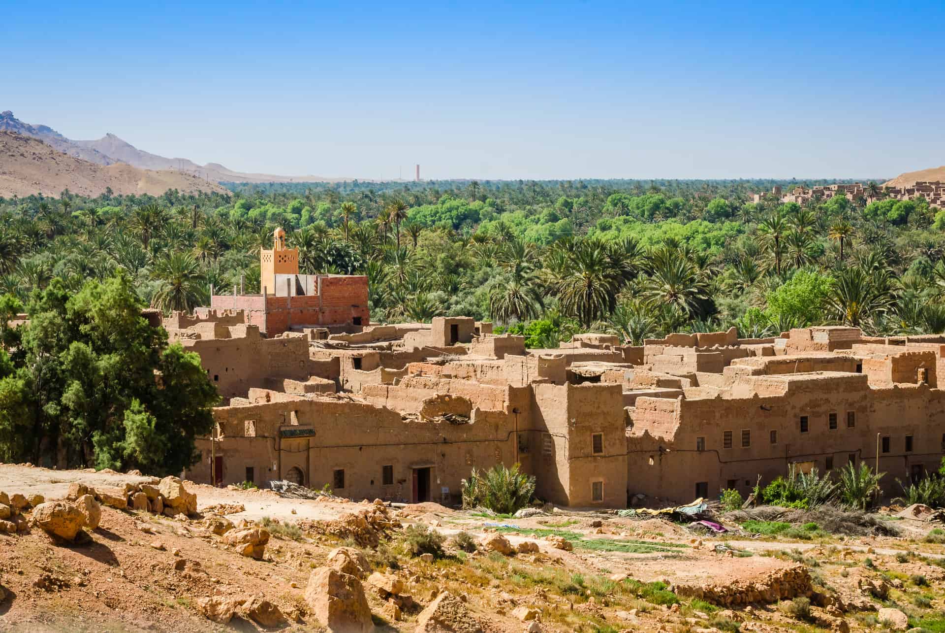 oasis ziz oasis ziz
