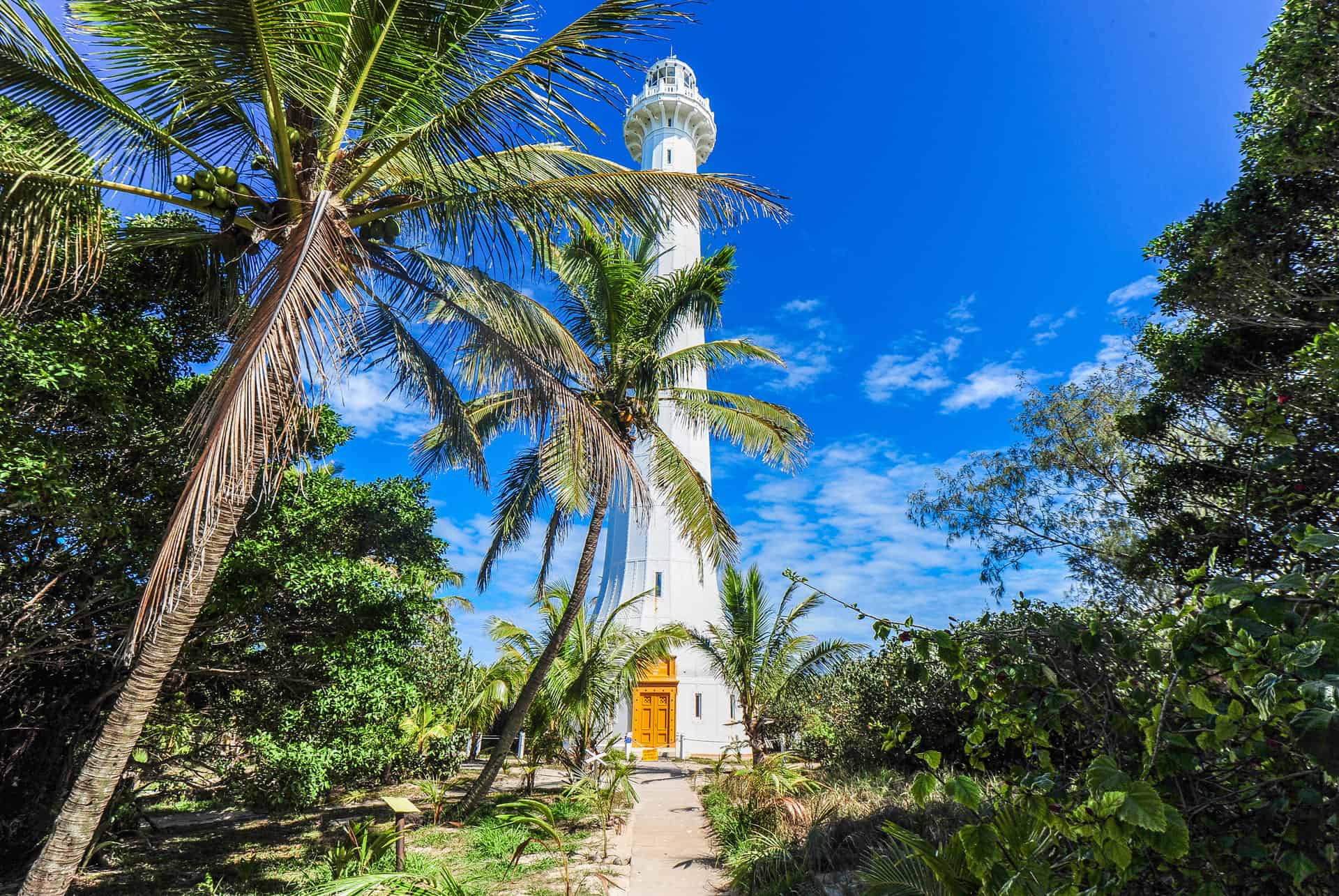 phare amedee phare amedee
