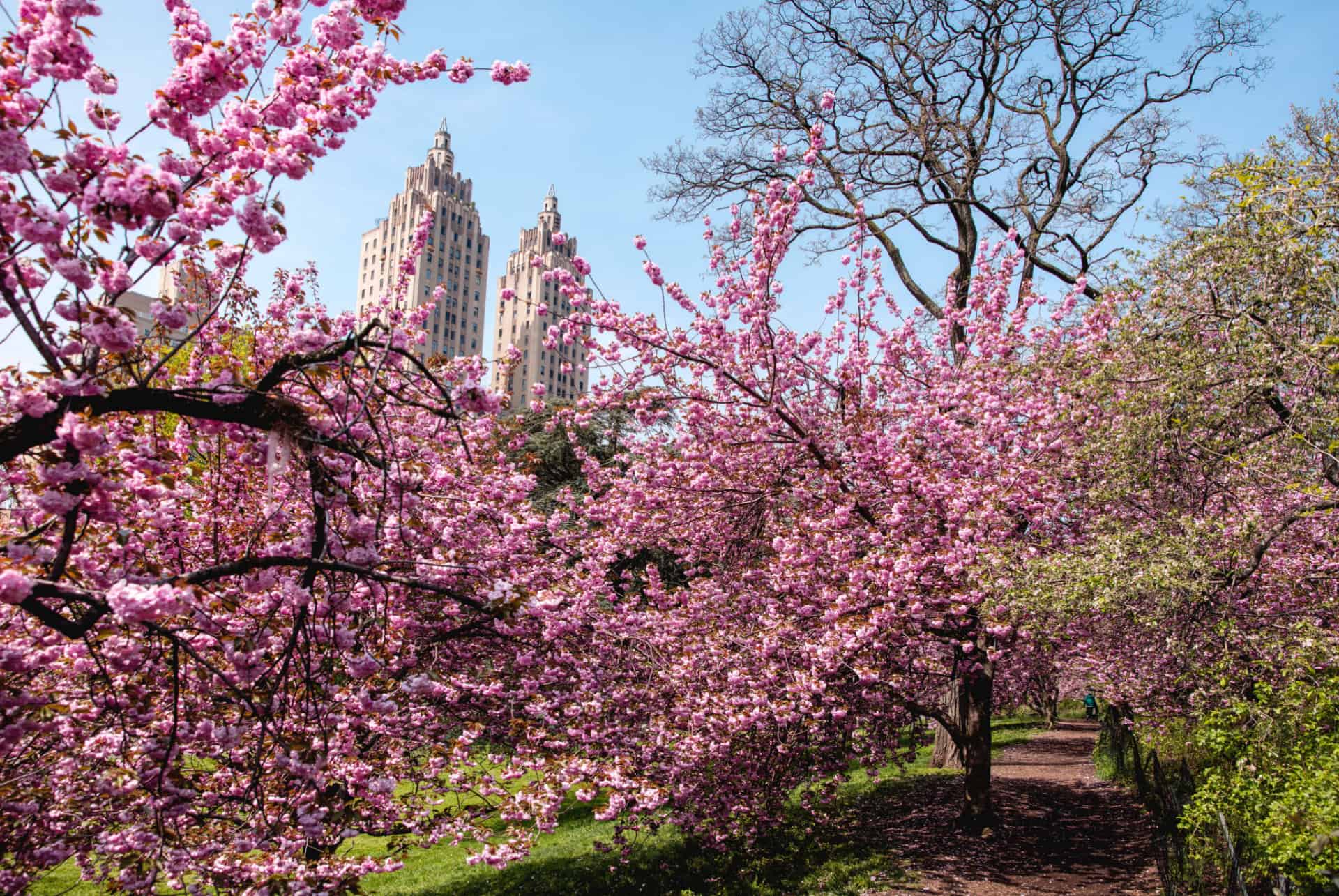 quand partir a new york printemps