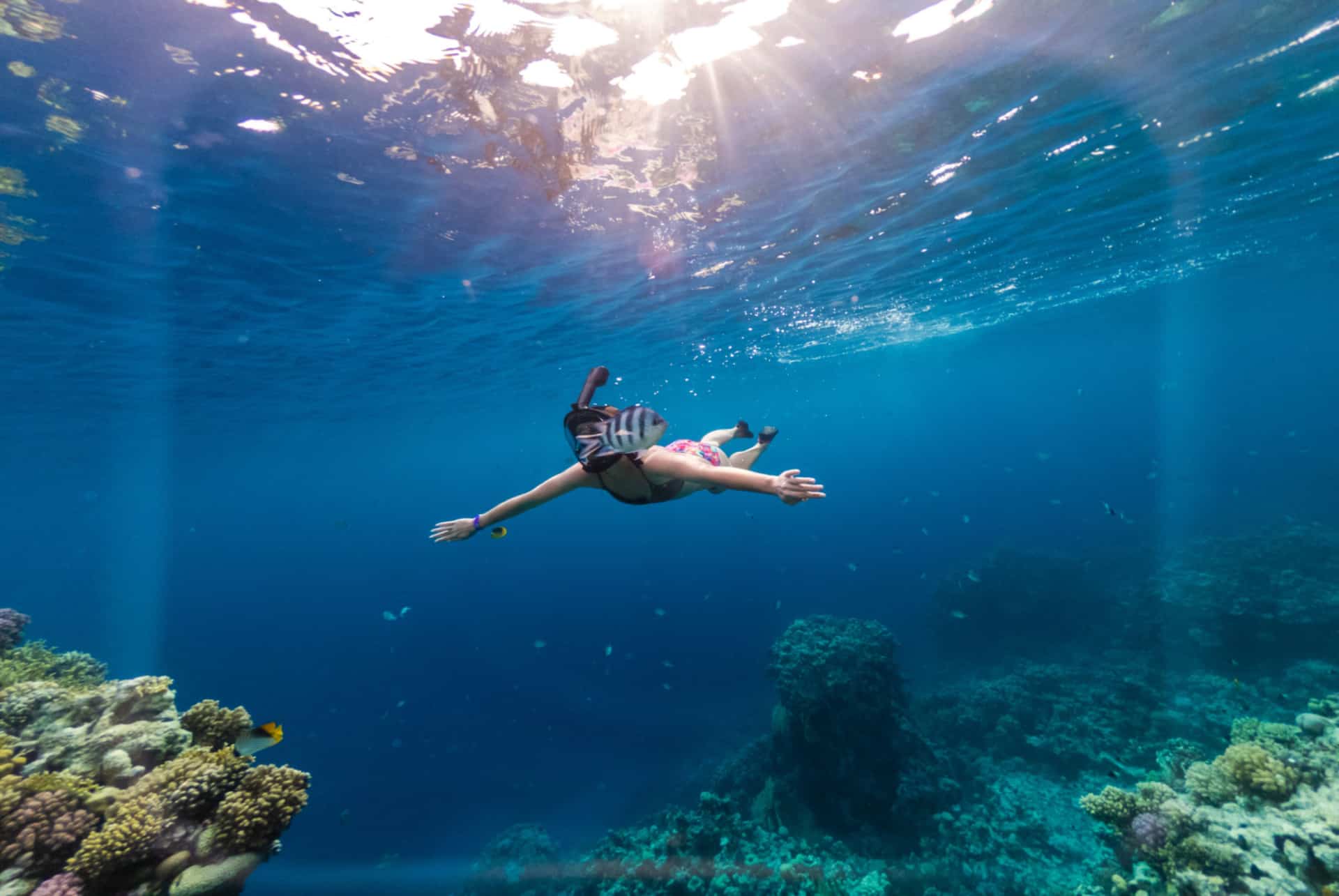 snorkeling au mexique