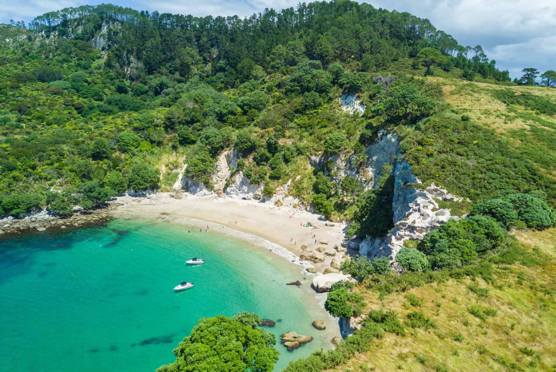 Coromandel nouvelle zelande