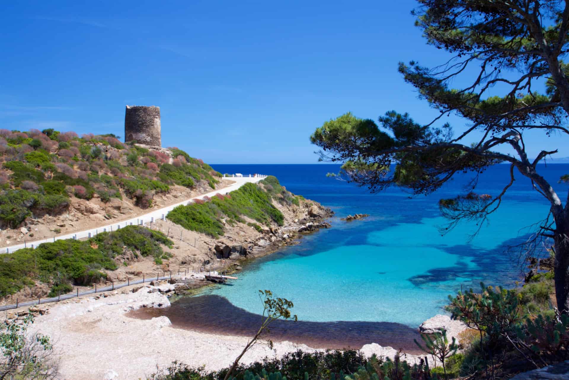 asinara asinara