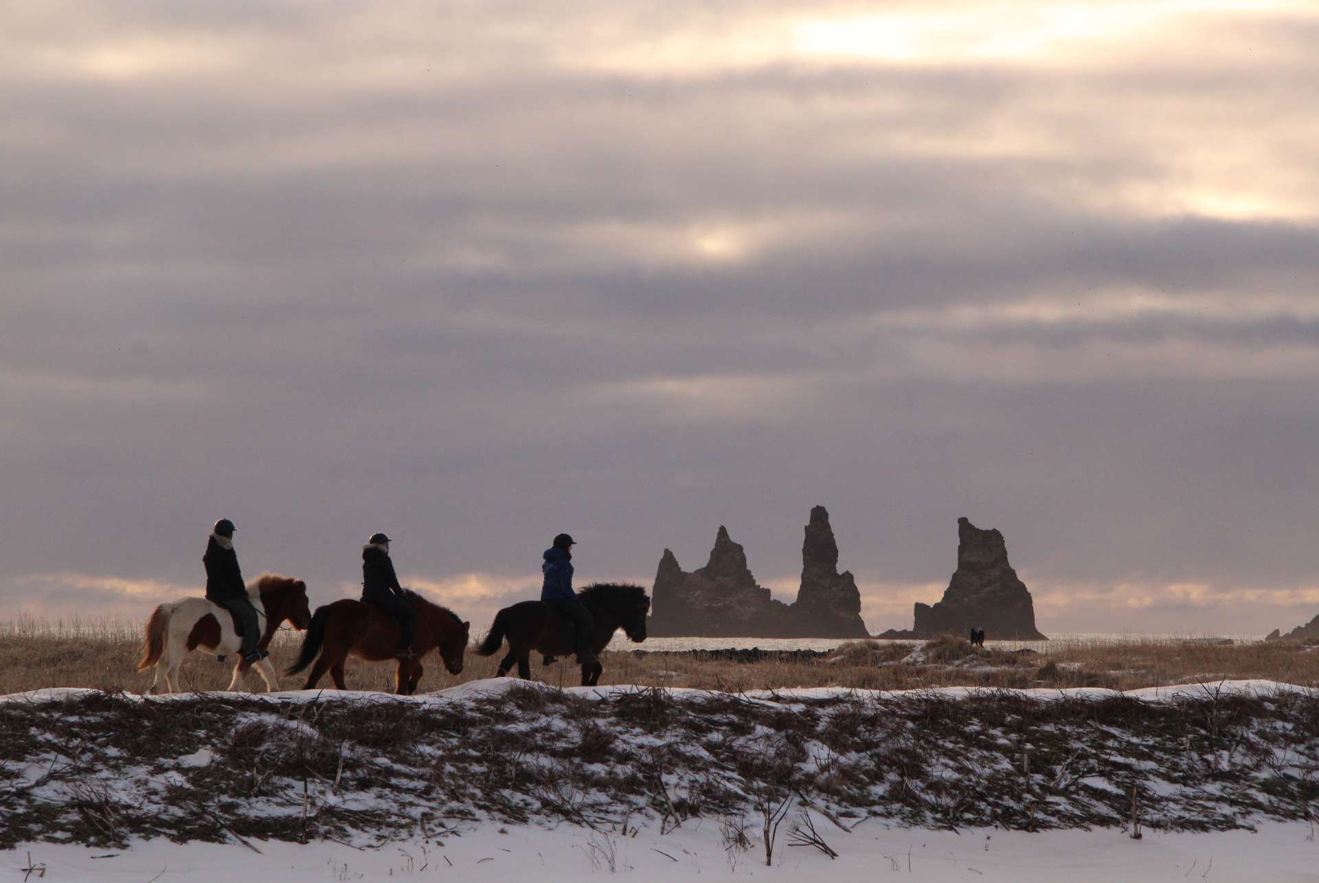 balade a cheval islande fevrier balade a cheval islande fevrier