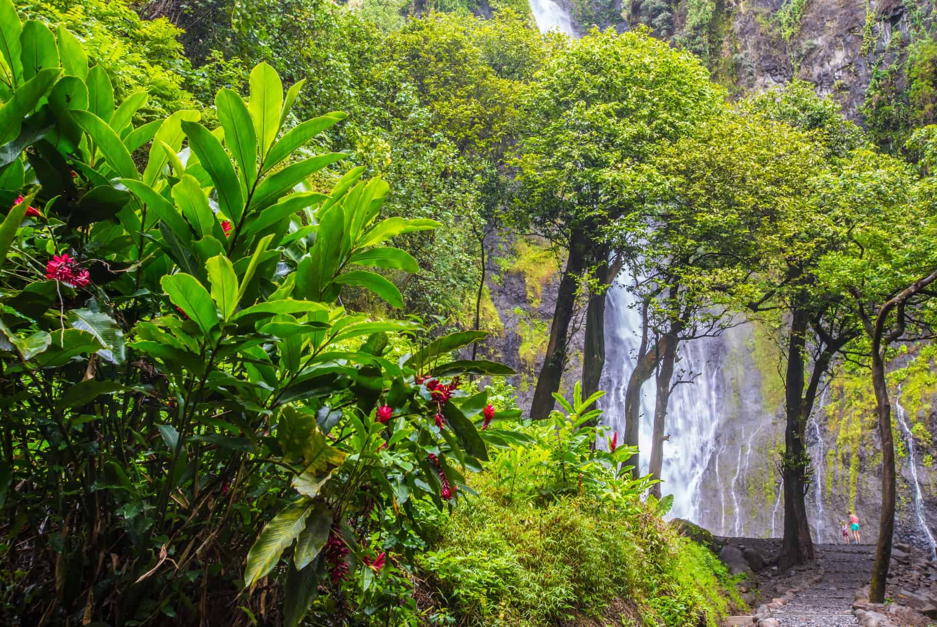 cascades de faarumai