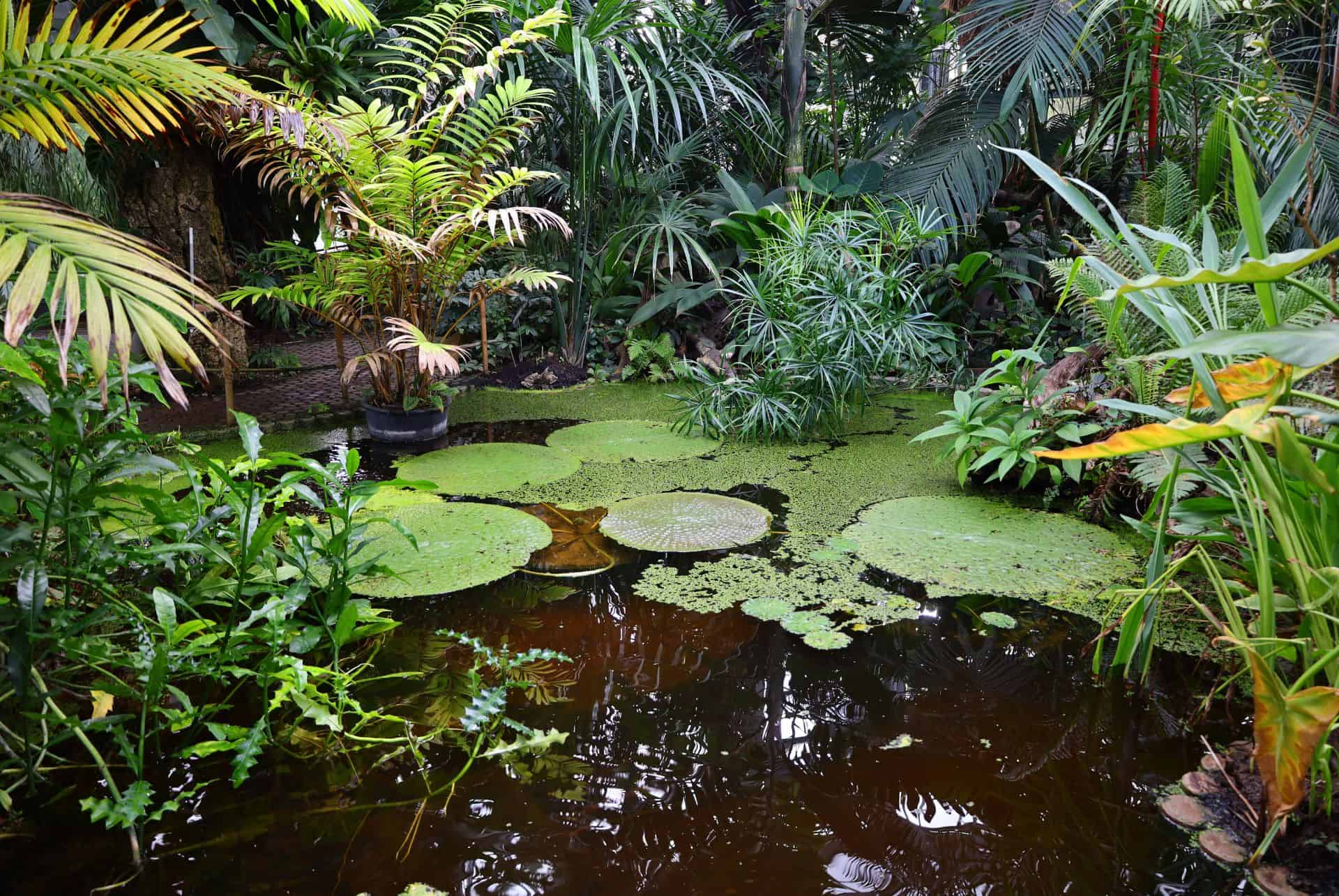 jardin botanique geneve