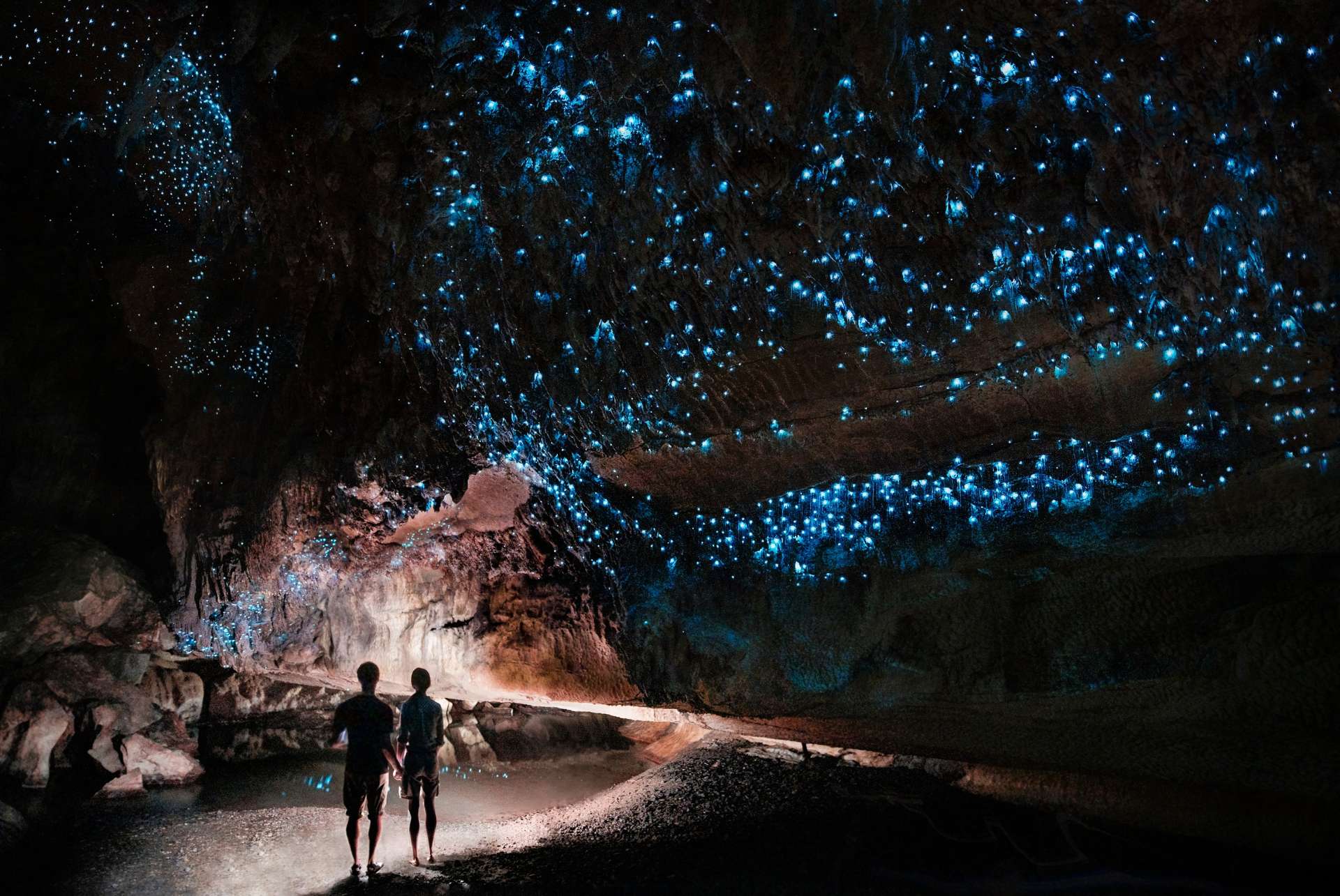 nouvelle zelande glow worms nouvelle zelande glow worms