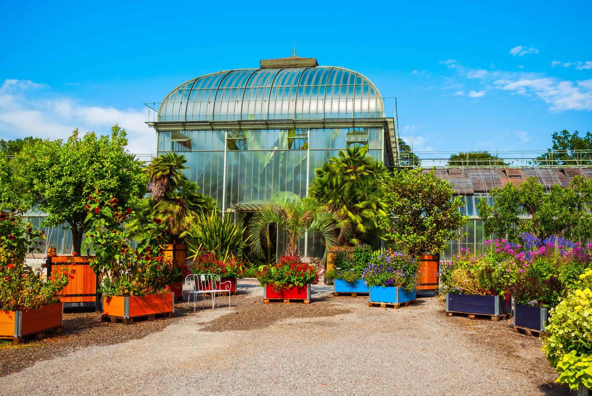 que faire a geneve jardin botanique