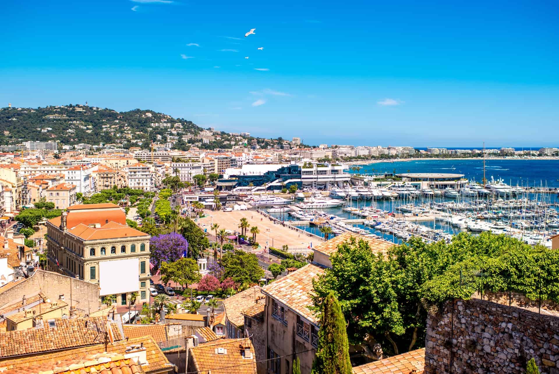 que faire cannes cote azur que faire cannes cote azur