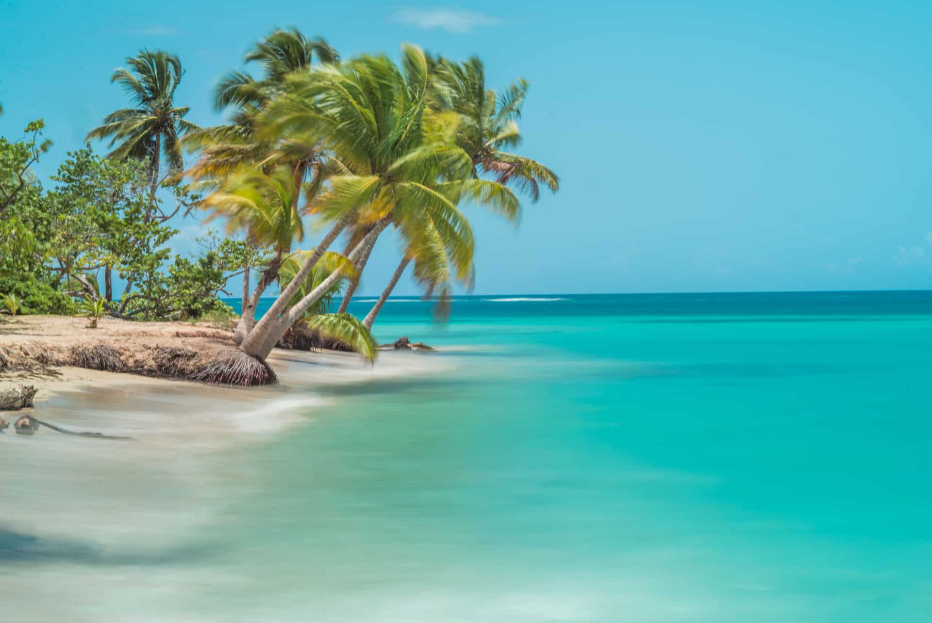 que faire en republique dominicaine samana que faire en republique dominicaine samana