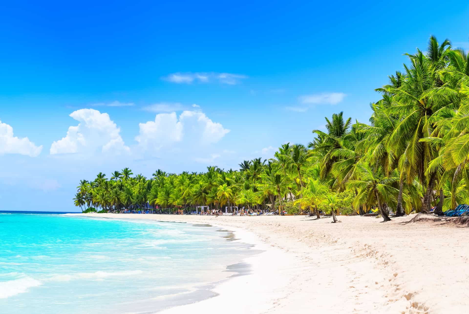 que faire en republique dominicaine plage que faire en republique dominicaine plage