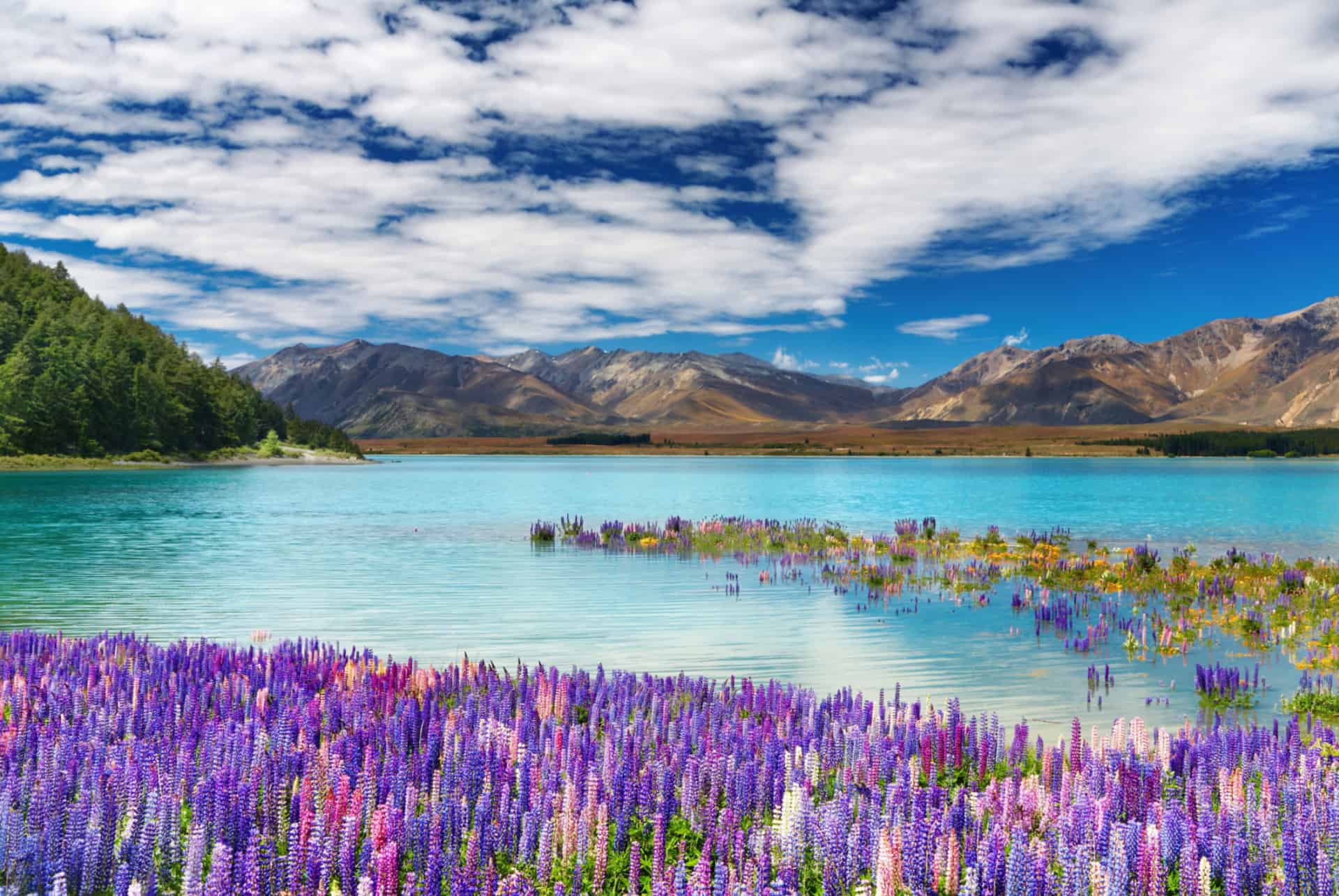 tekapo lake